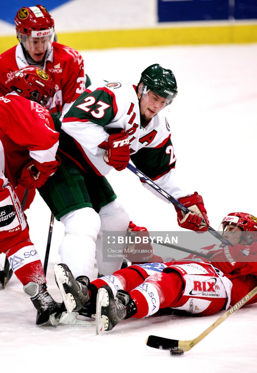 Ronnie Sundin, Frölunda