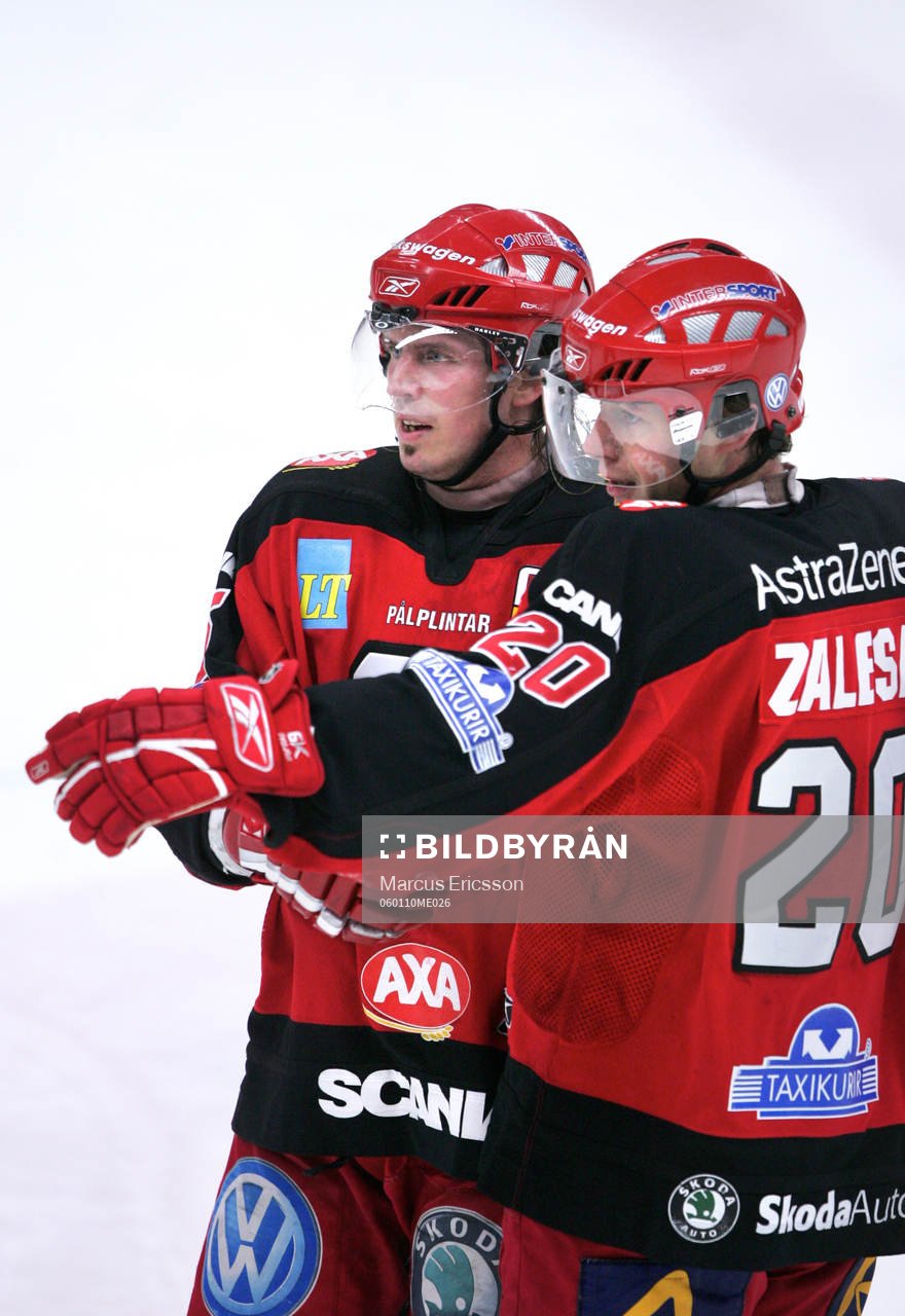 Jubel i Södertälje, Miroslav Zalesak och Jan Houkko
