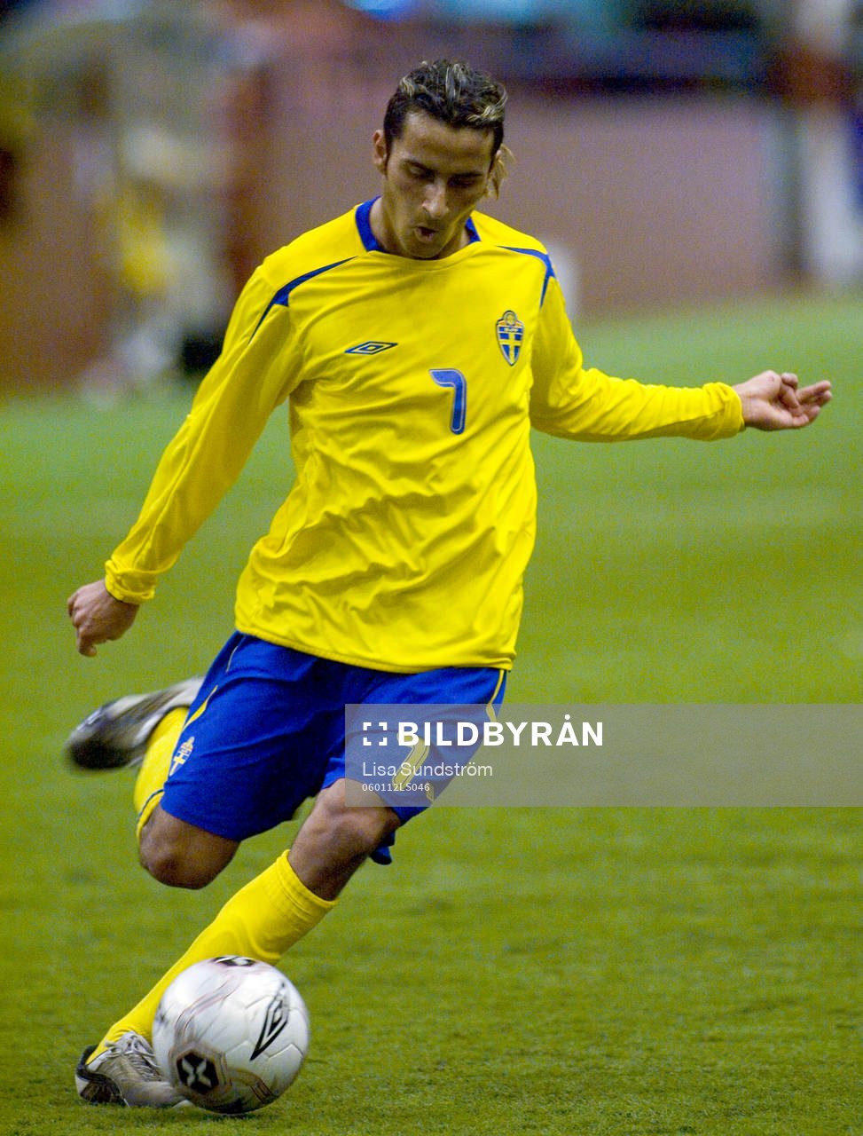 Erkan Zengin, Sverige
