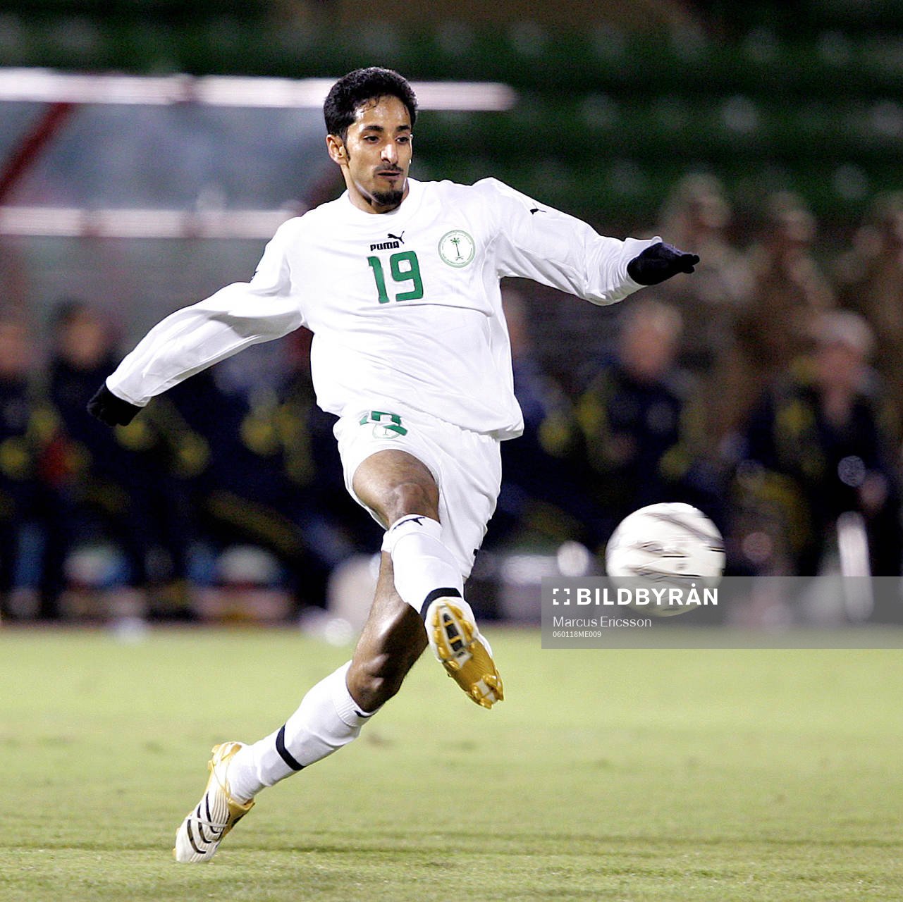 Mohammed Ameem Haidar