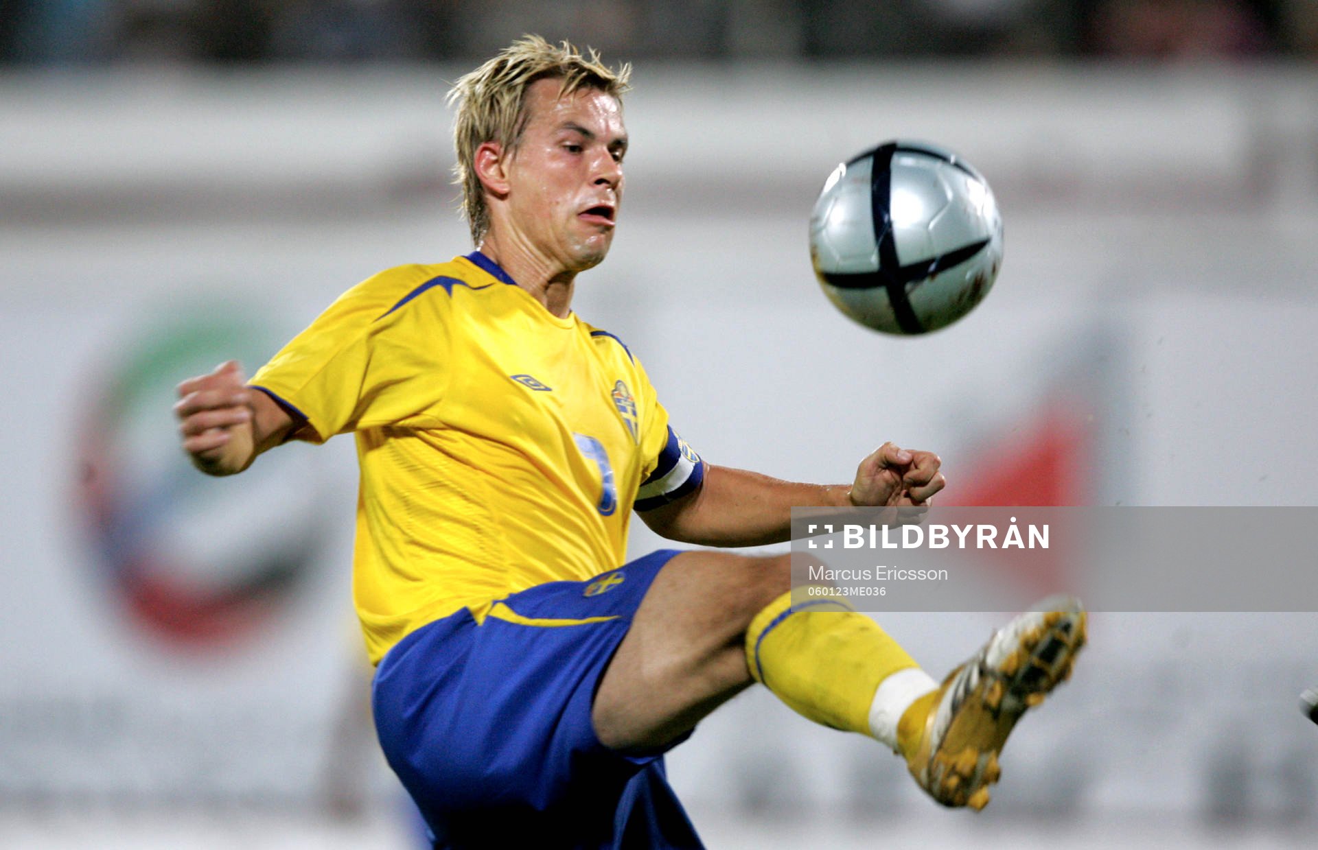 Niclas Alexandersson, Sverige