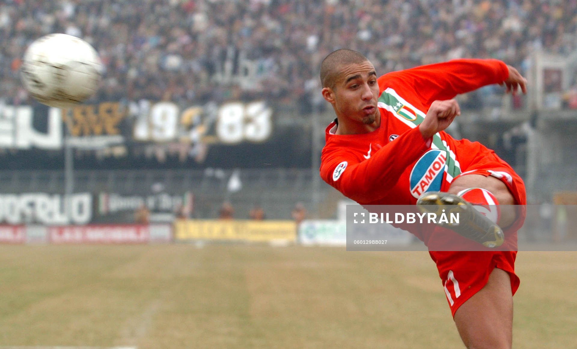 Trezeguet, Juventus
