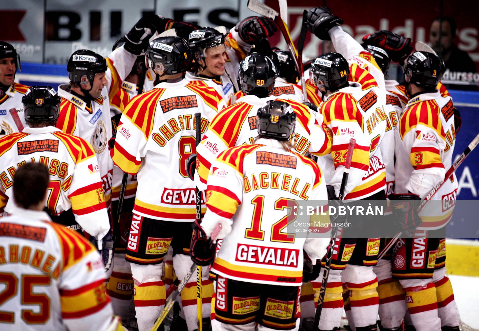 Brynäs jublar
