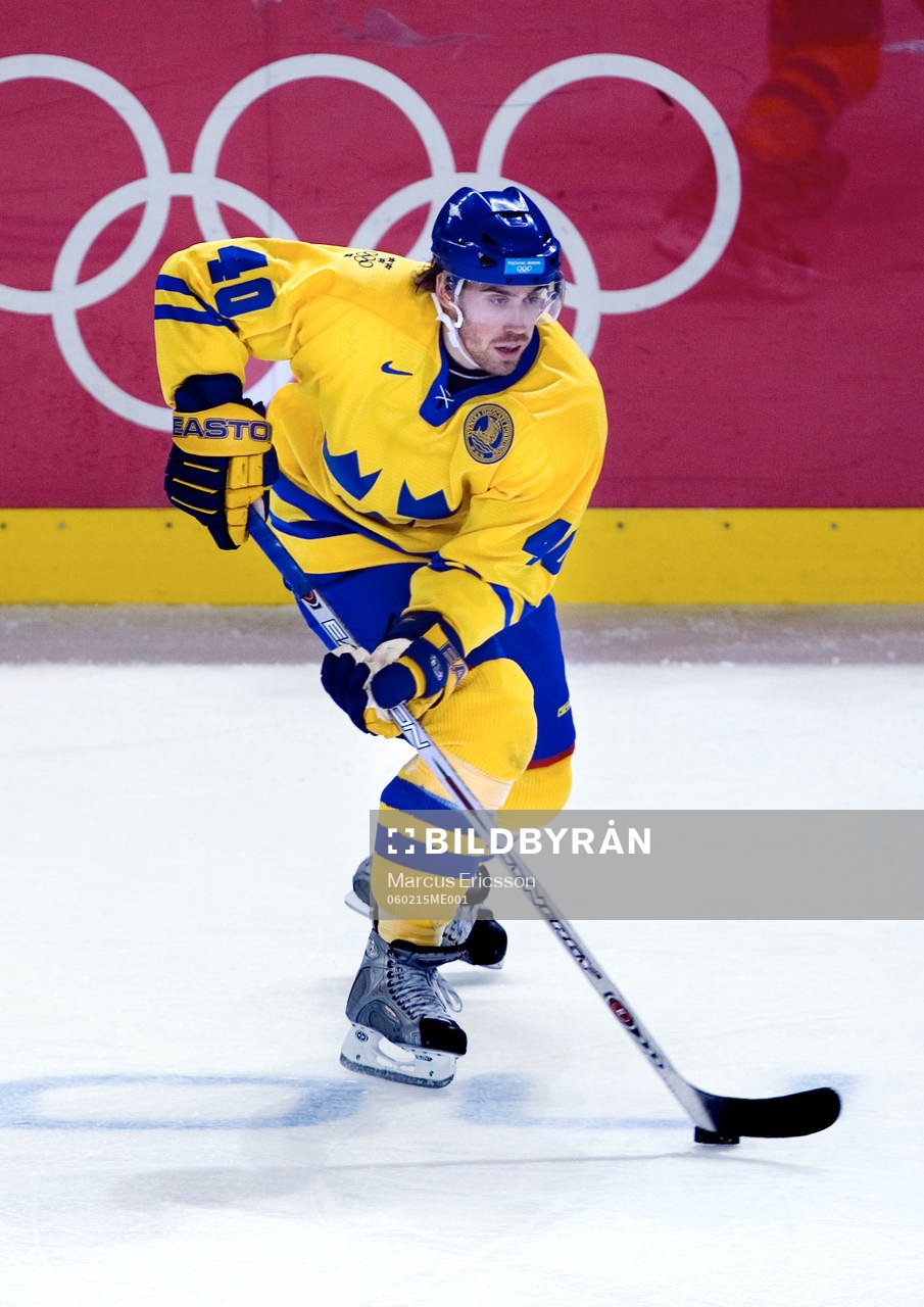 Henrik Zetterberg, Sverige