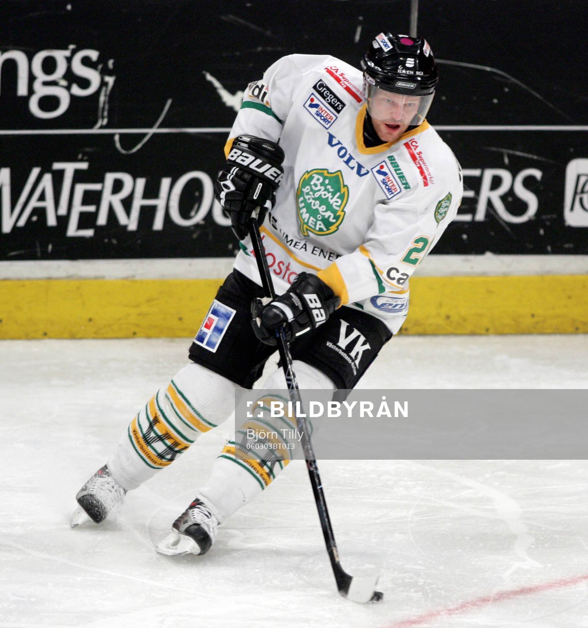 Björn Lavander, Björklöven