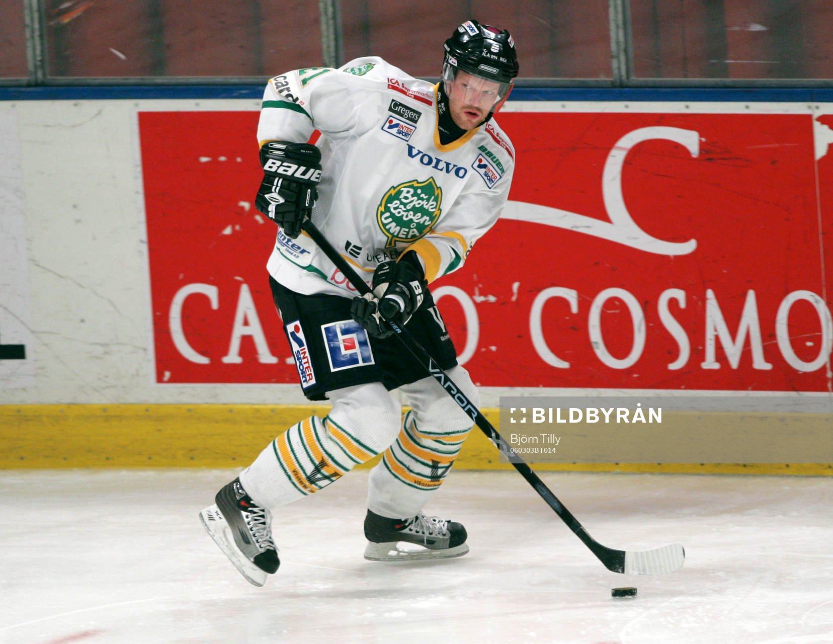 Björn Lavander, Björklöven