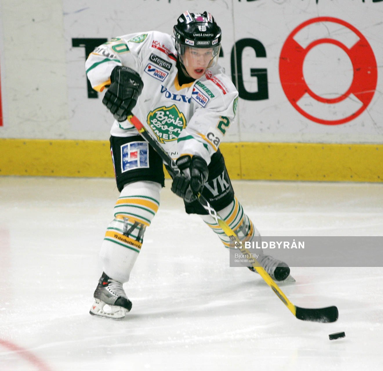 Erik Forssell, Björklöven