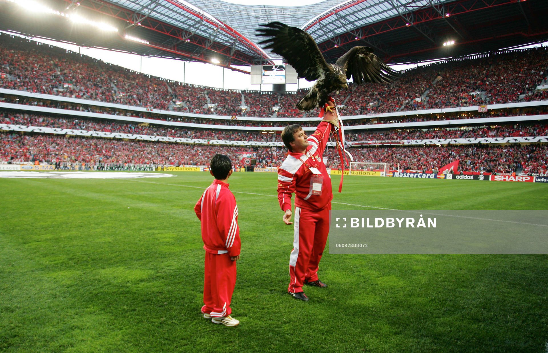 Benfica, maskot, örn, symbol, arena, stadion