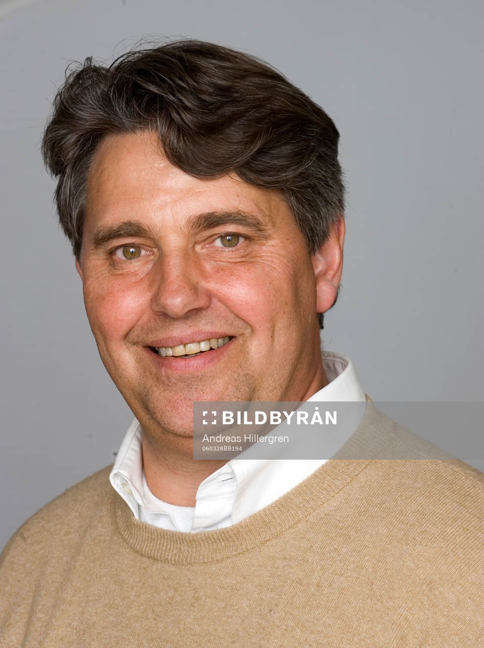 Thomas Wernerson, TV, media