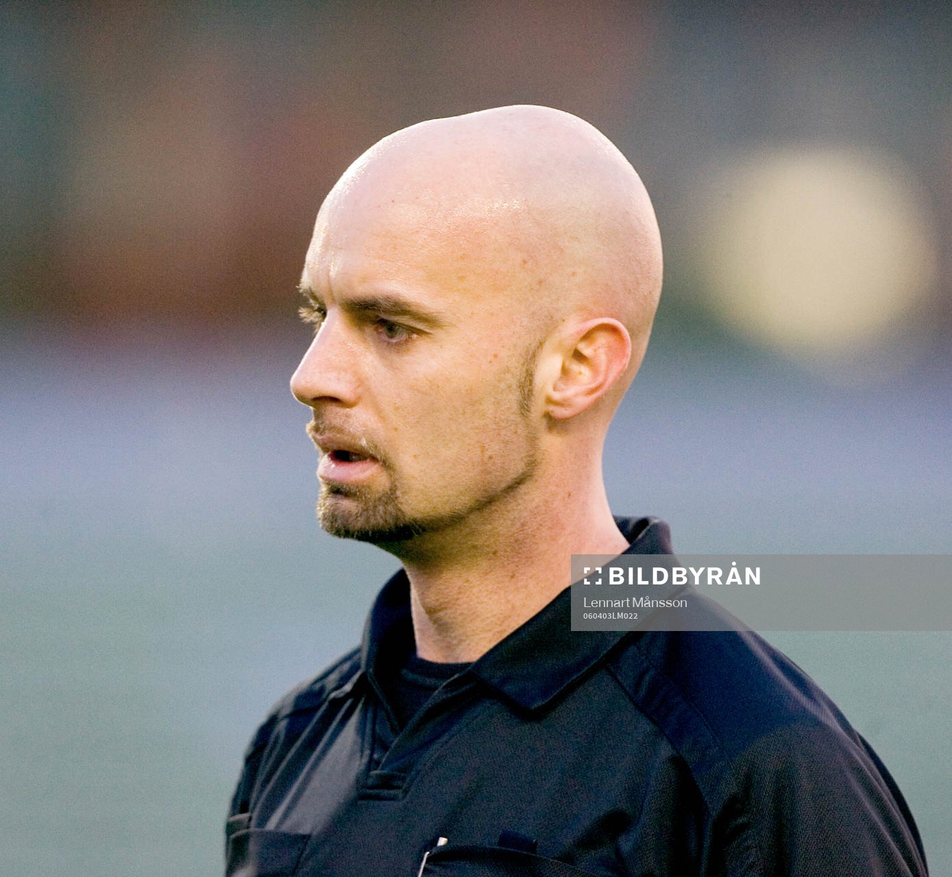 Stefan Johannesson, domare