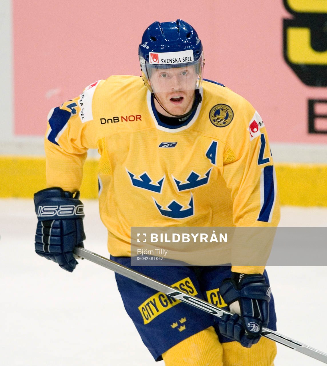 Andreas Karlsson, Sverige