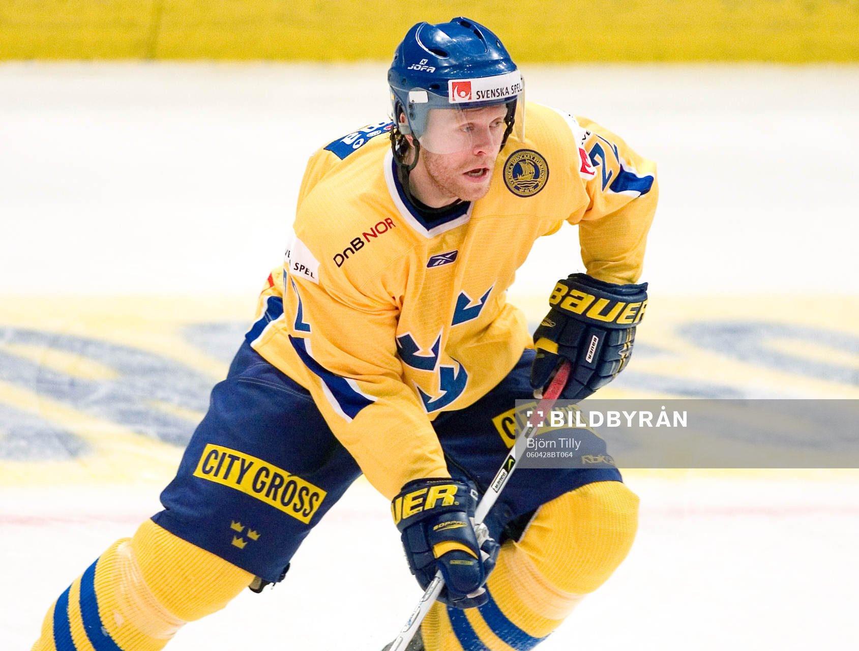 David Petrasek, Sverige