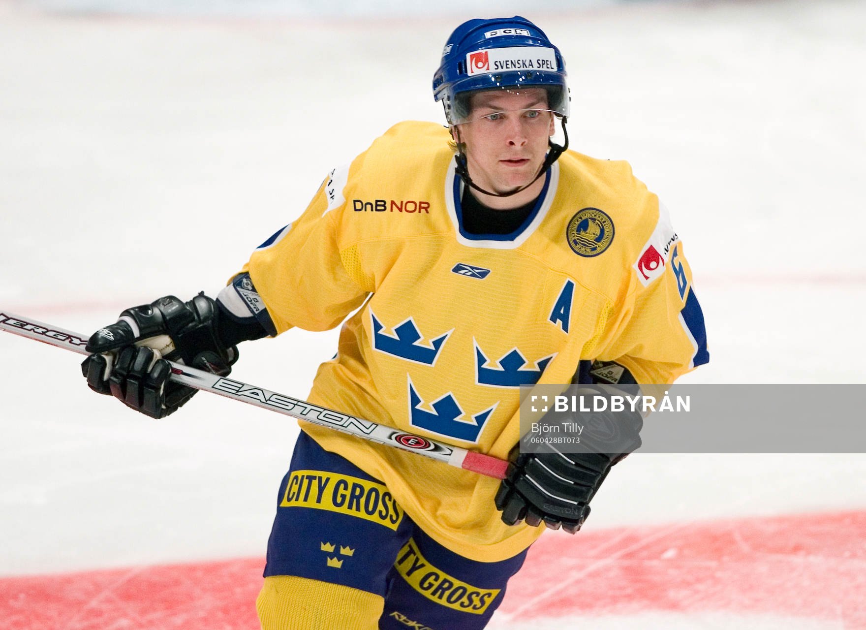 Magnus Johansson, Sverige