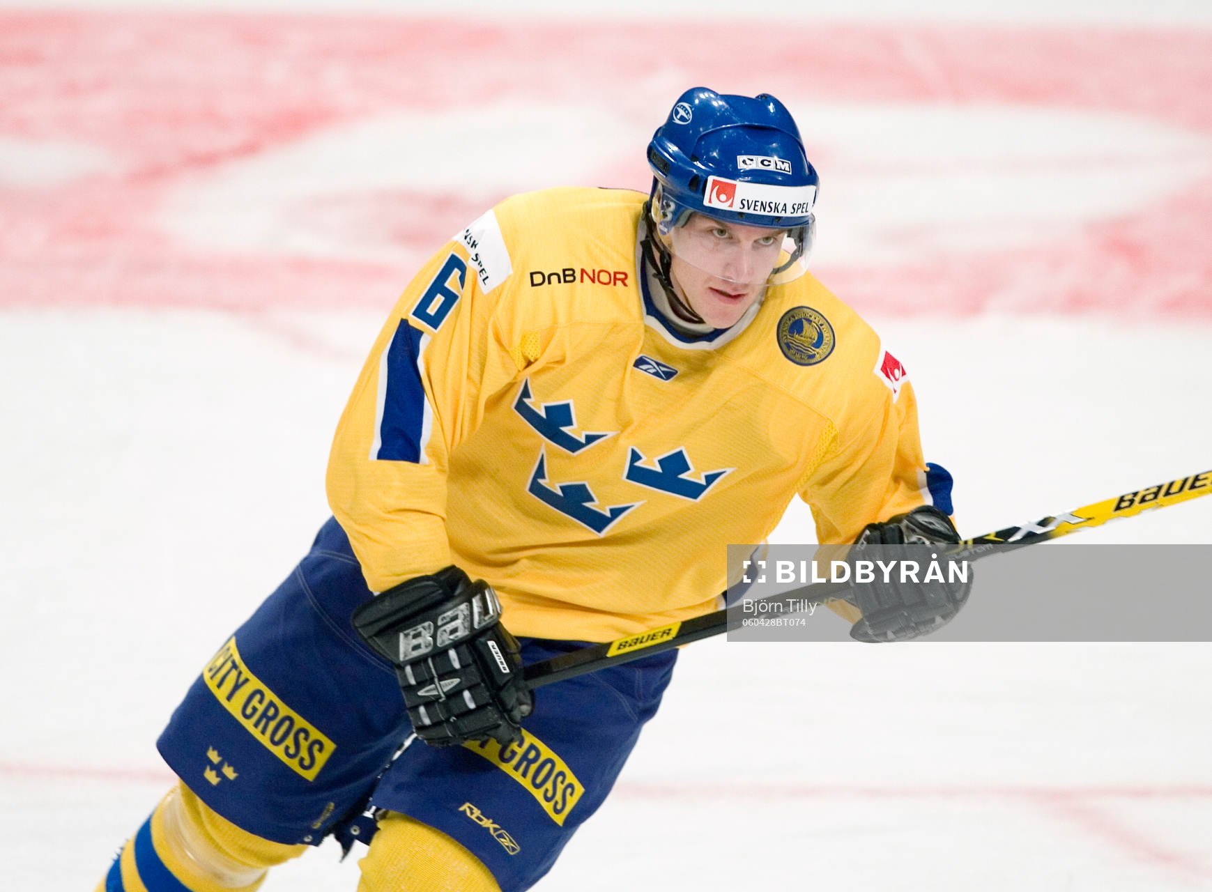 Magnus Johansson, Sverige