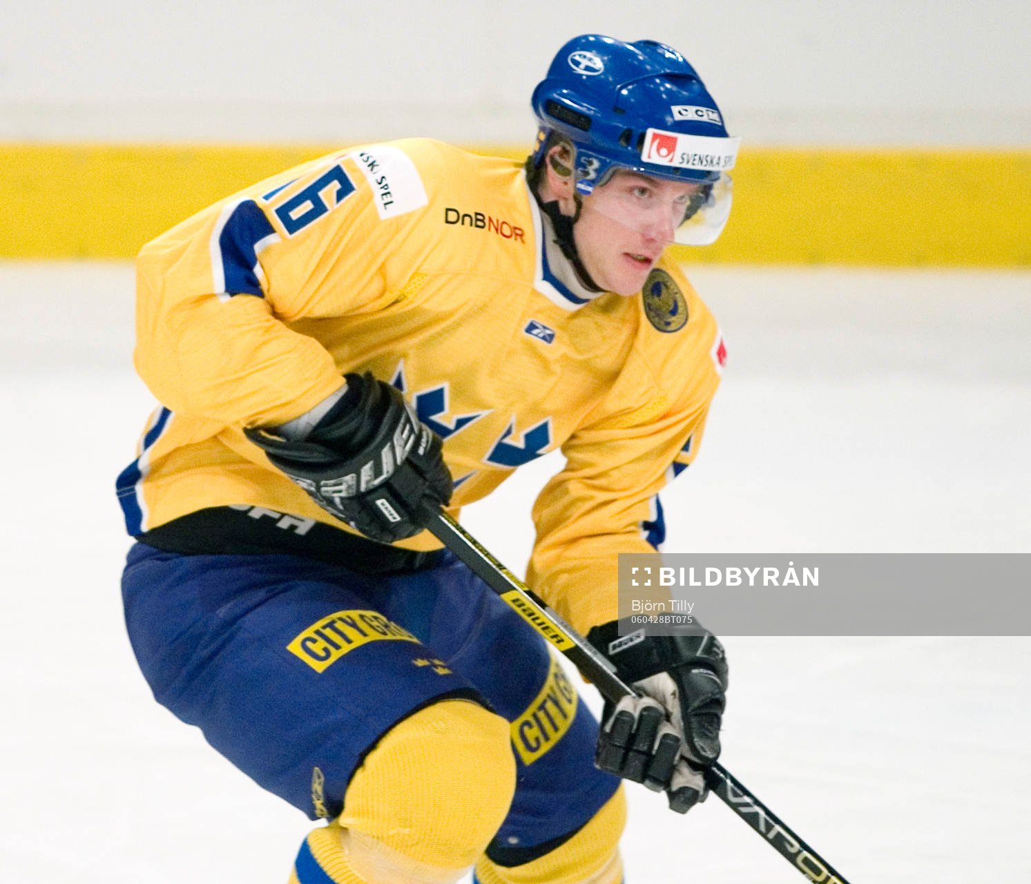 Magnus Johansson, Sverige