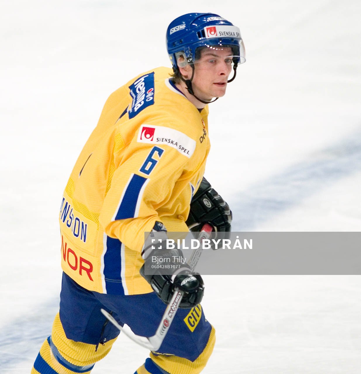 Magnus Johansson, Sverige