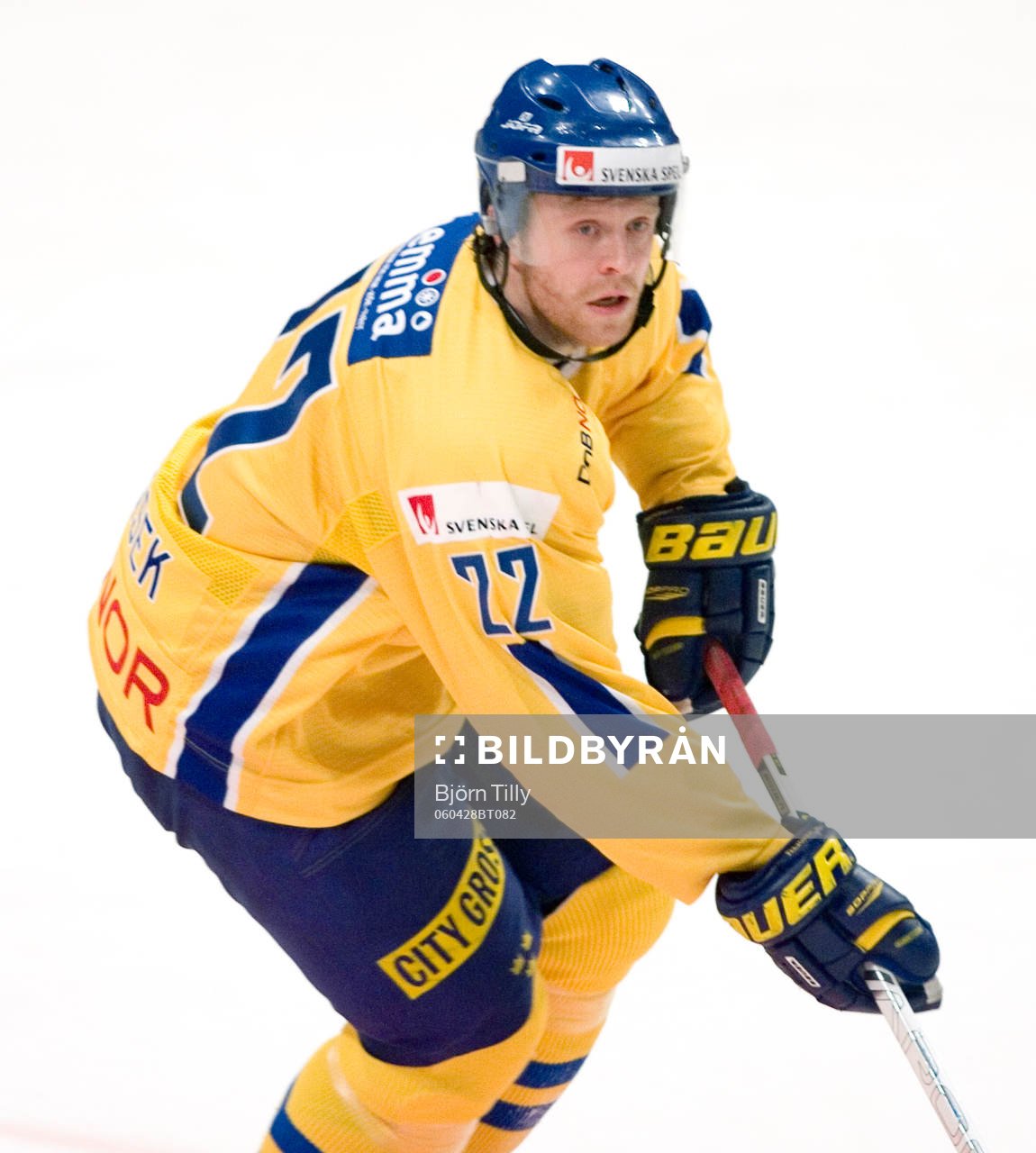 David Petrasek, Sverige