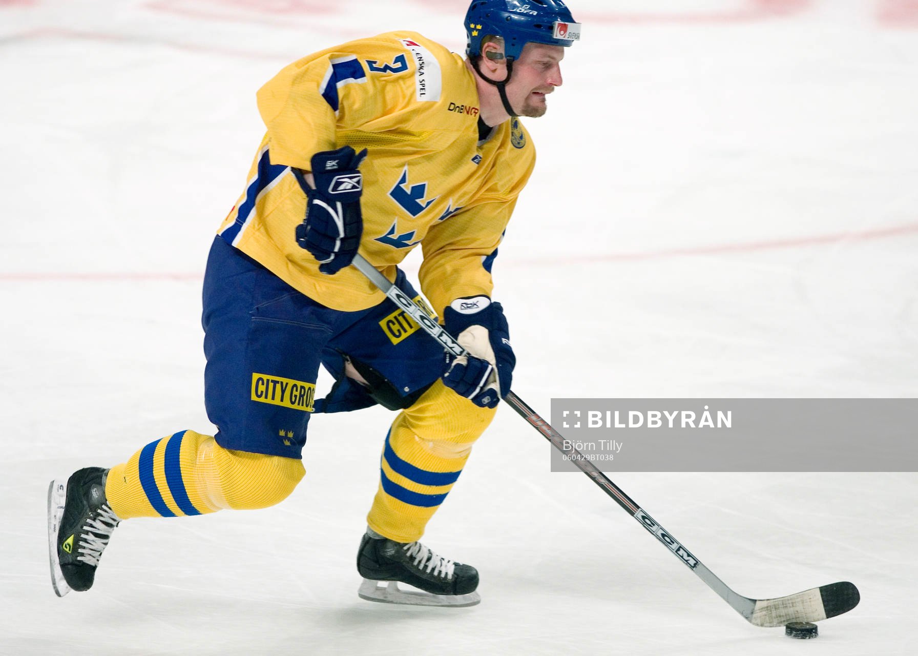 Mattias Timander, Sverige