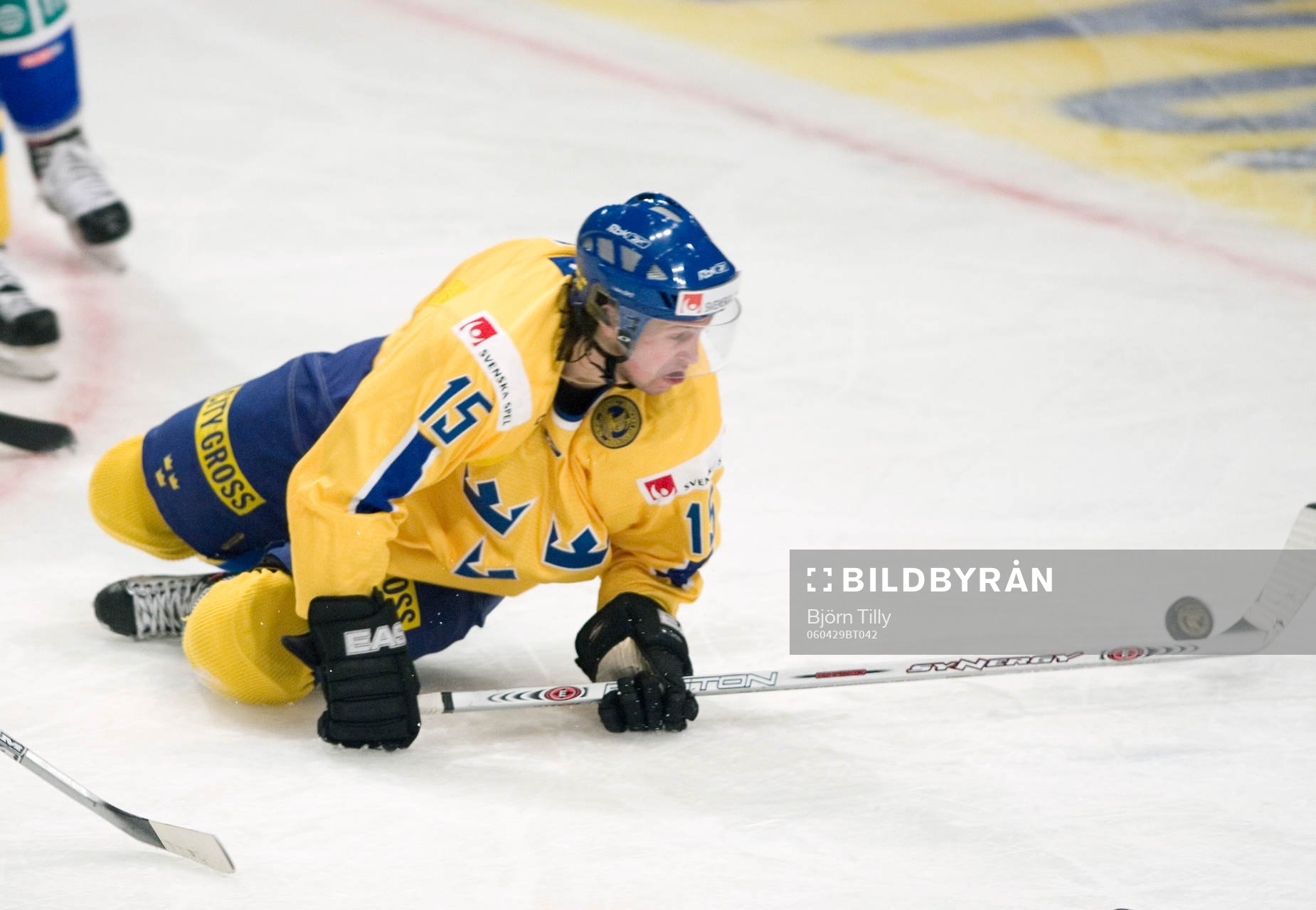 Rickard Wallin, Sverige