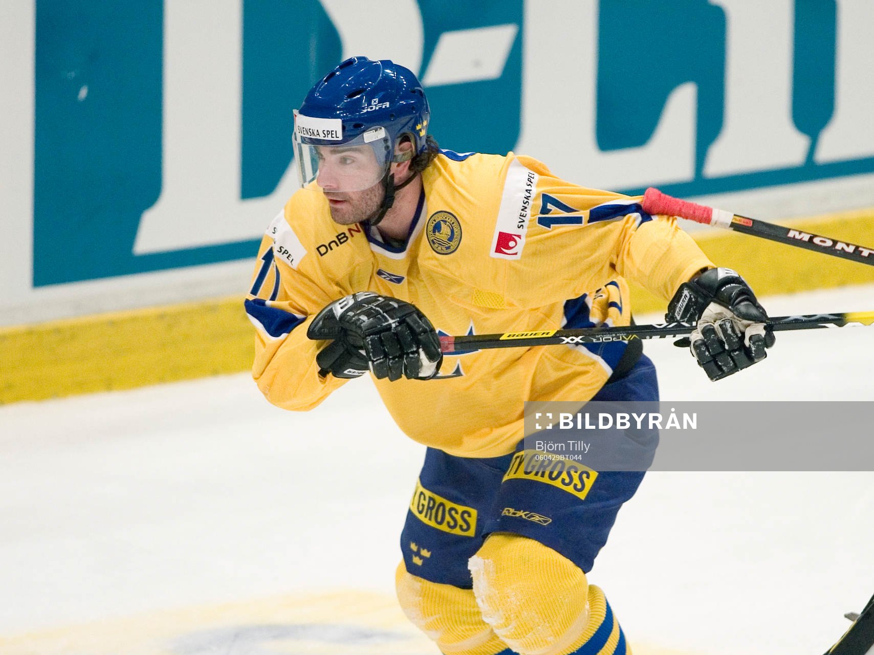 Mathias Johansson, Sverige
