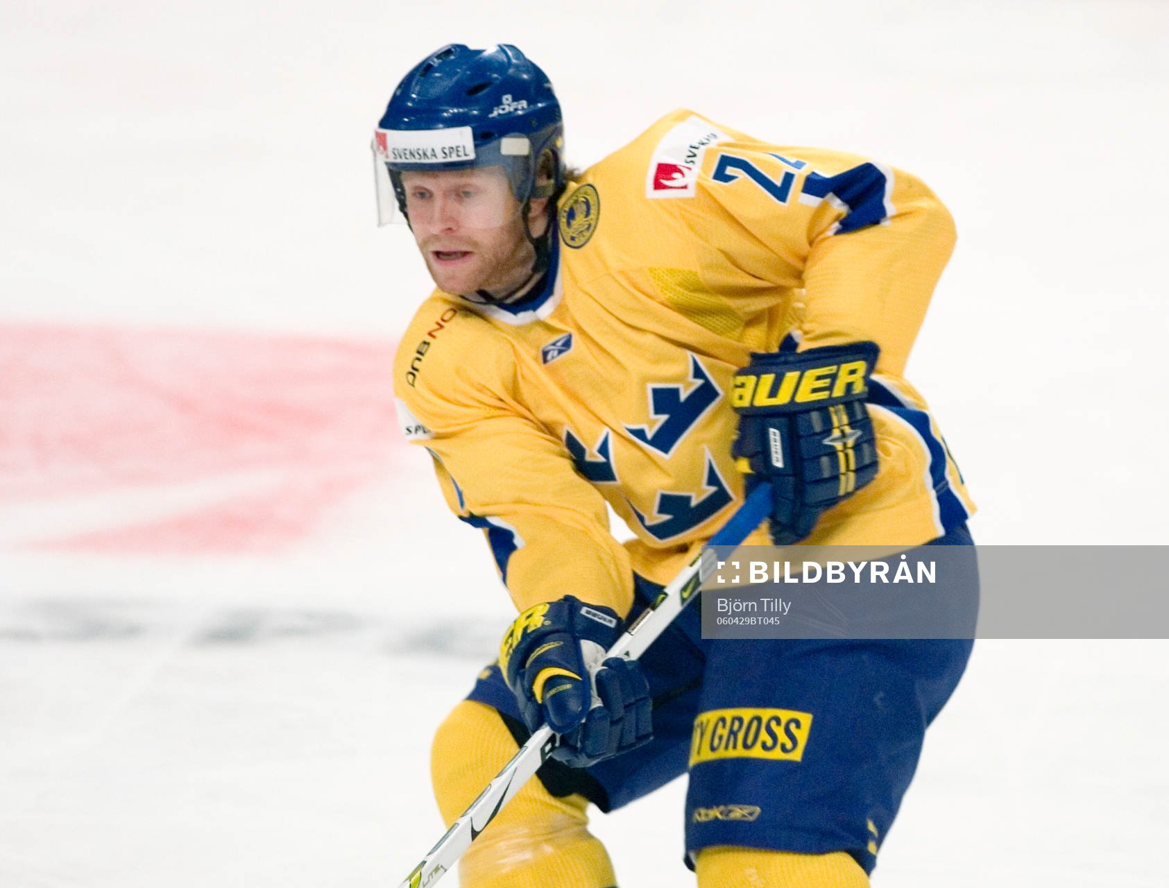 David Petrasek, Sverige