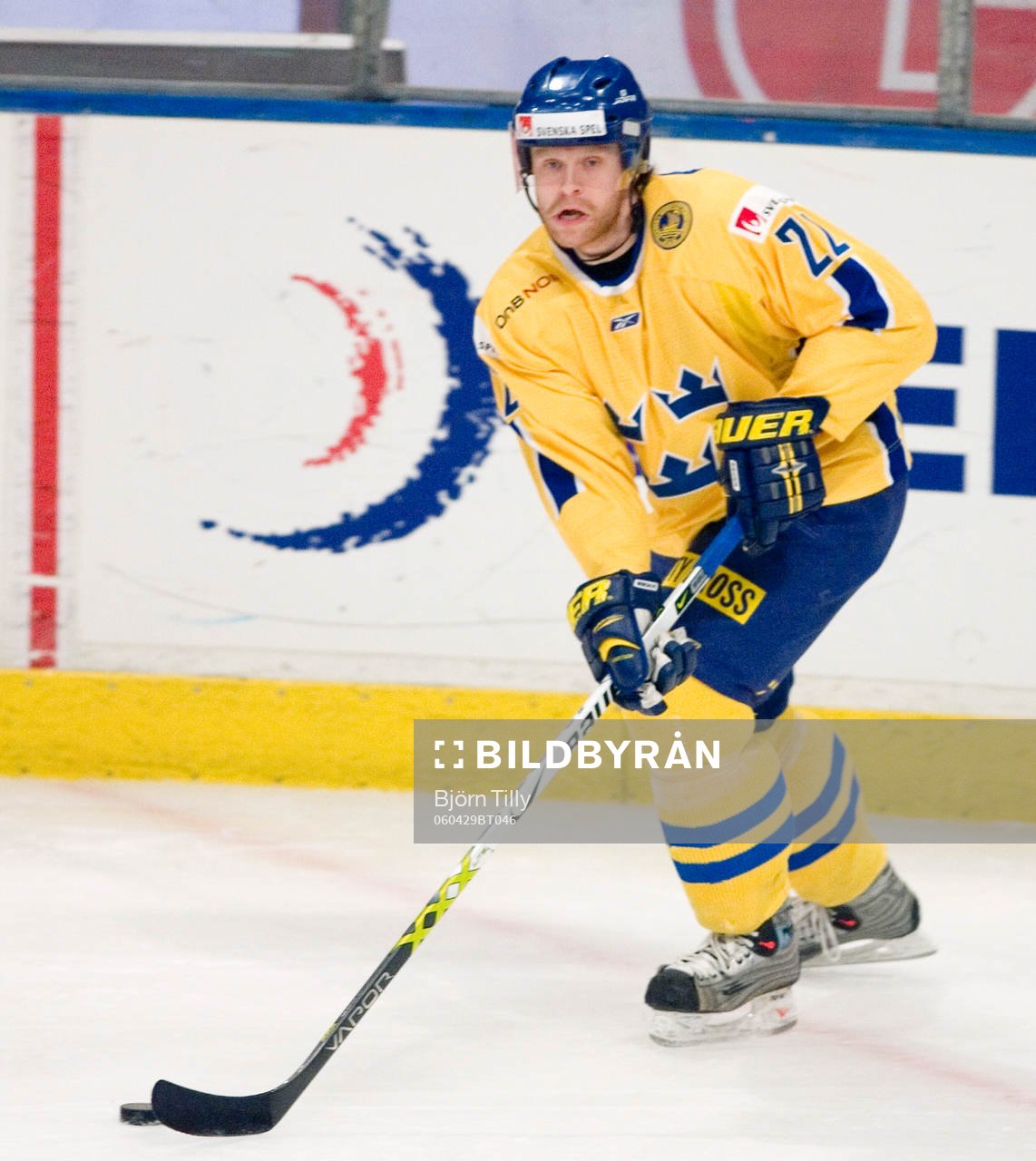 David Petrasek, Sverige