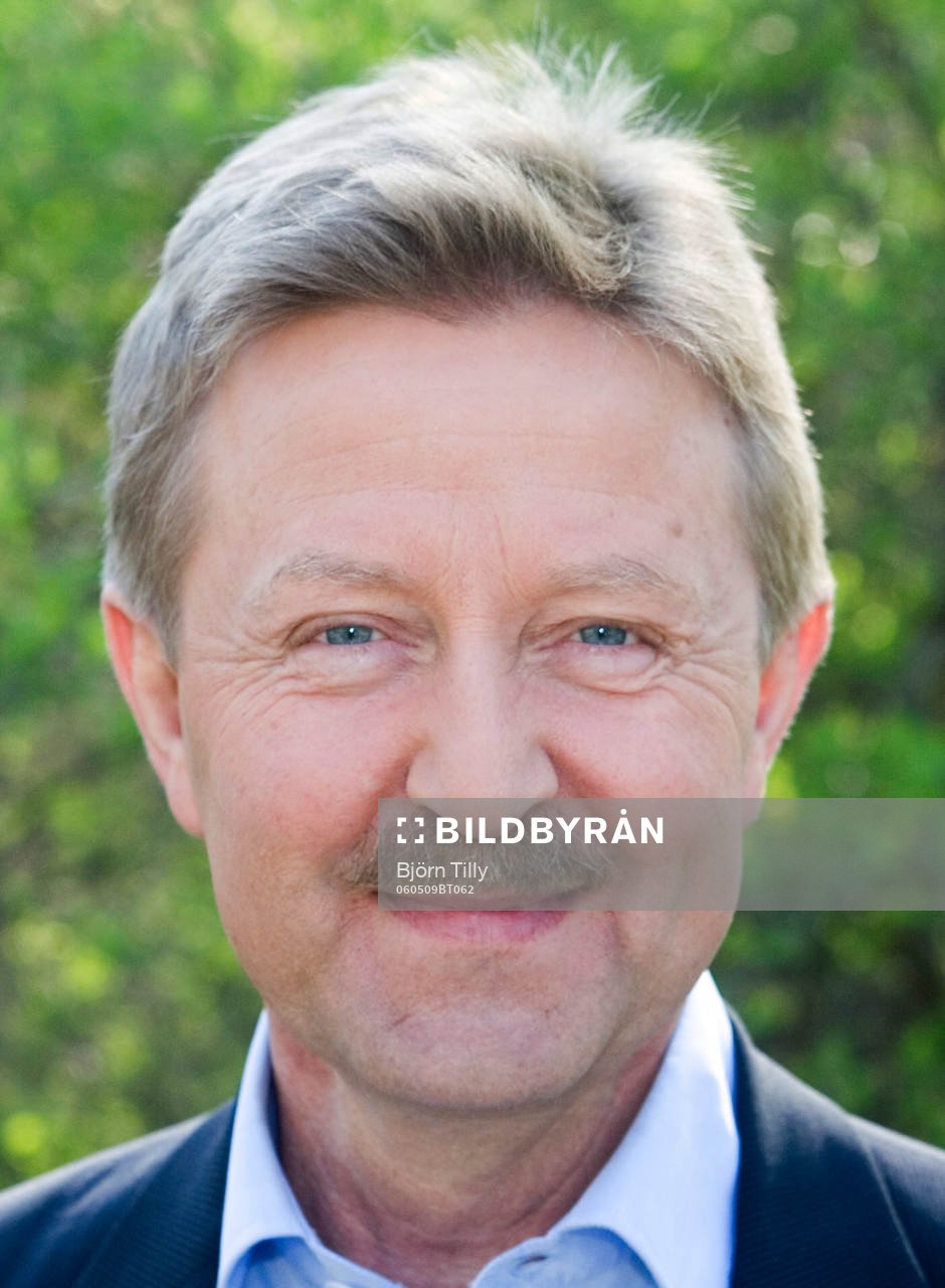 Staffan Lindeborg, kommentator