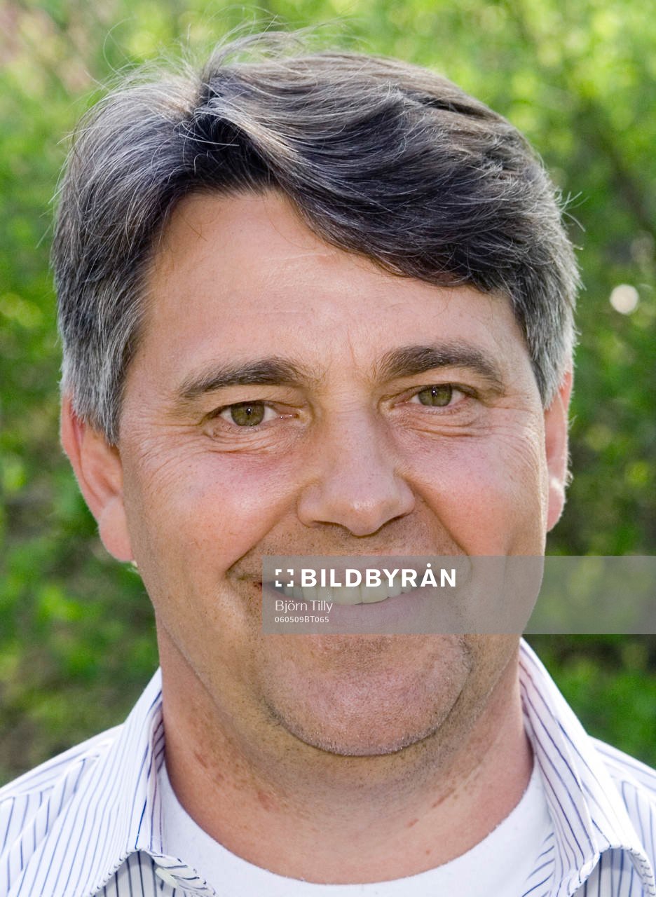 Thomas Wernerson, kommentator