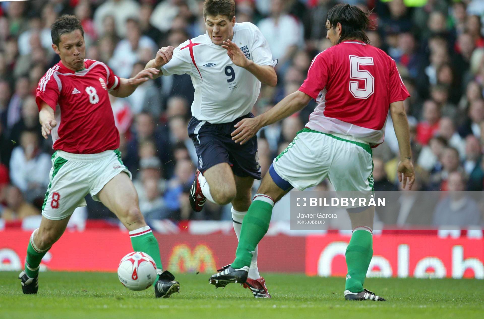 Steven Gerrard, England och Laszlo Eger och Balasz Toth,