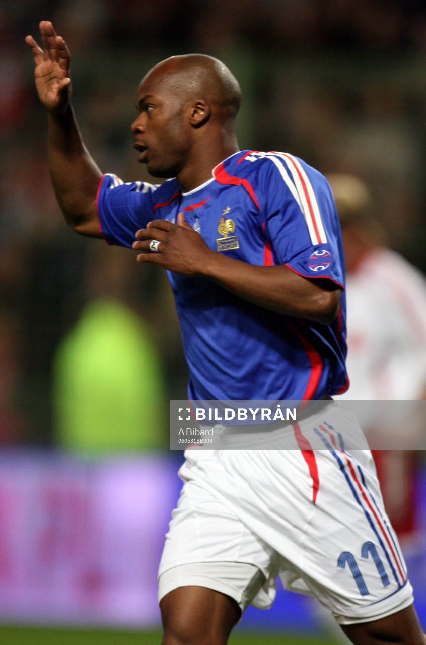 Sylvain Wiltord (Jubel)