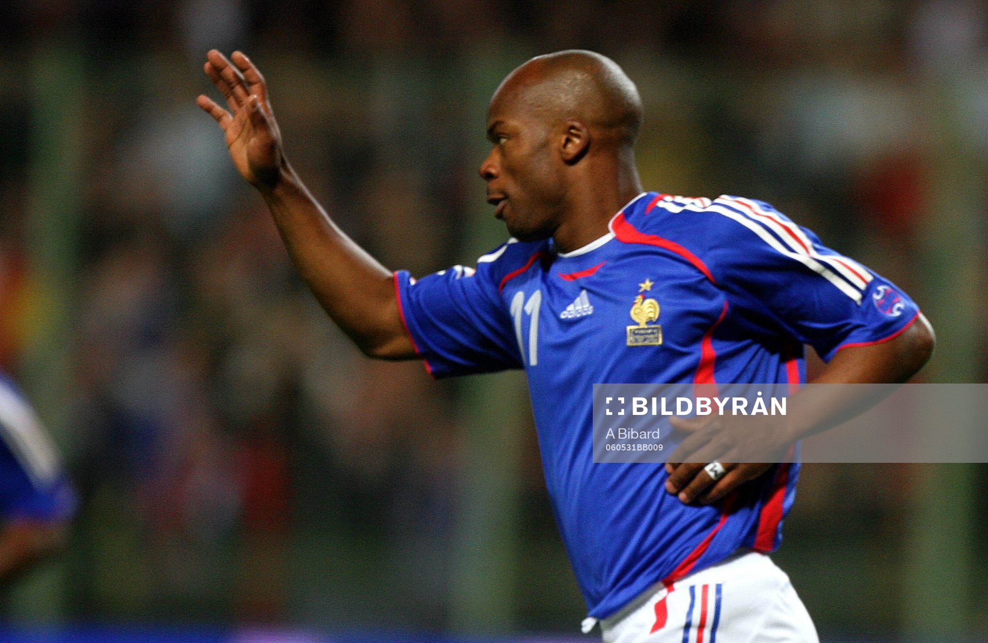 Sylvain Wiltord (Jubel)