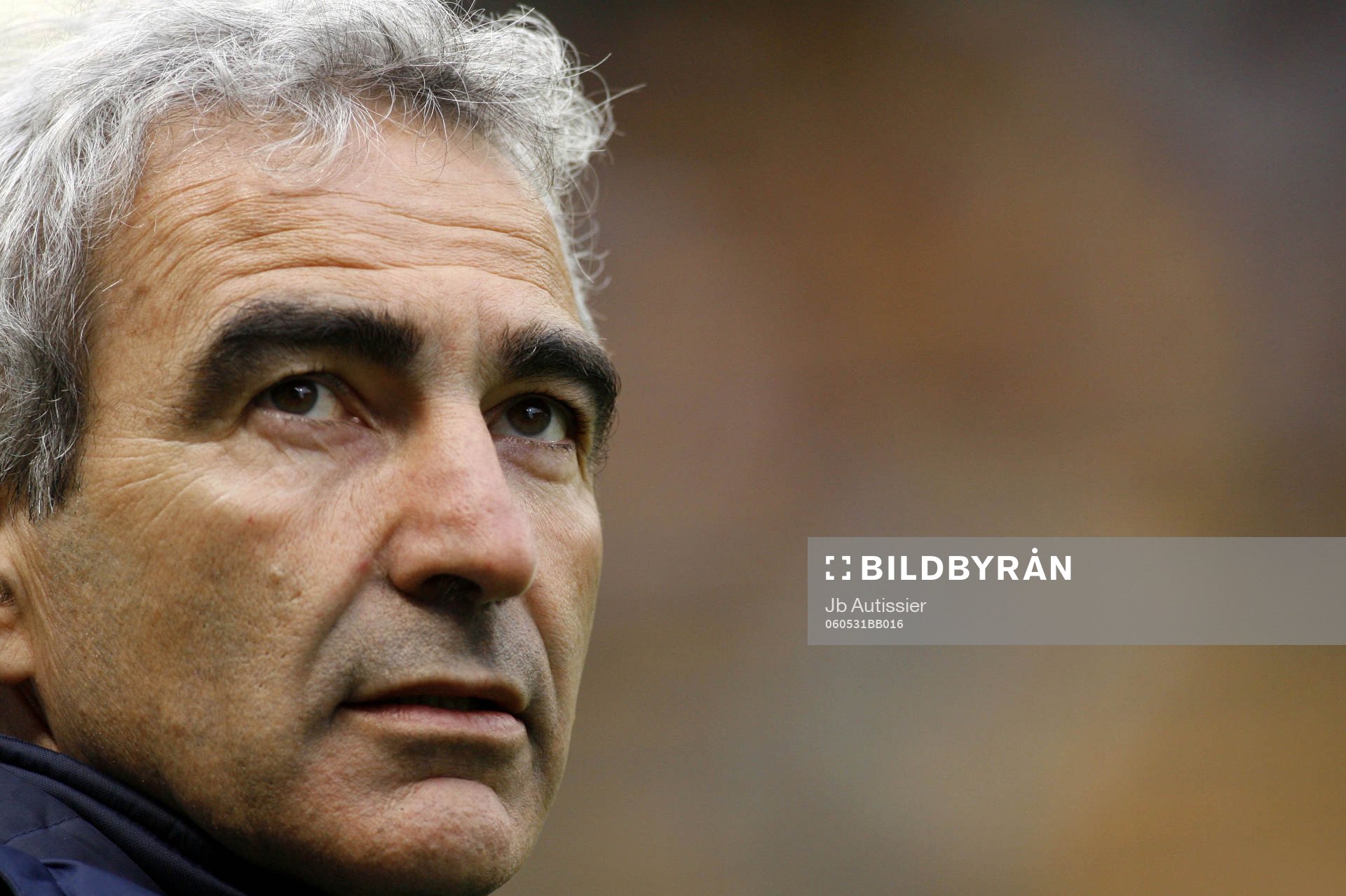 Raymond Domenech, förbundskapten