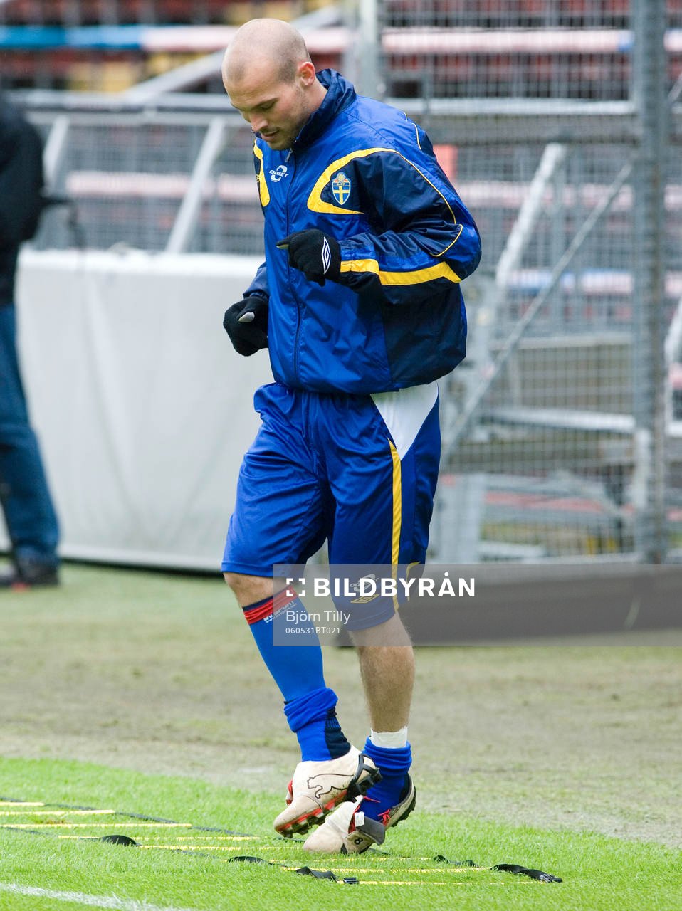 Fredrik Ljungberg, Sverige skadefri