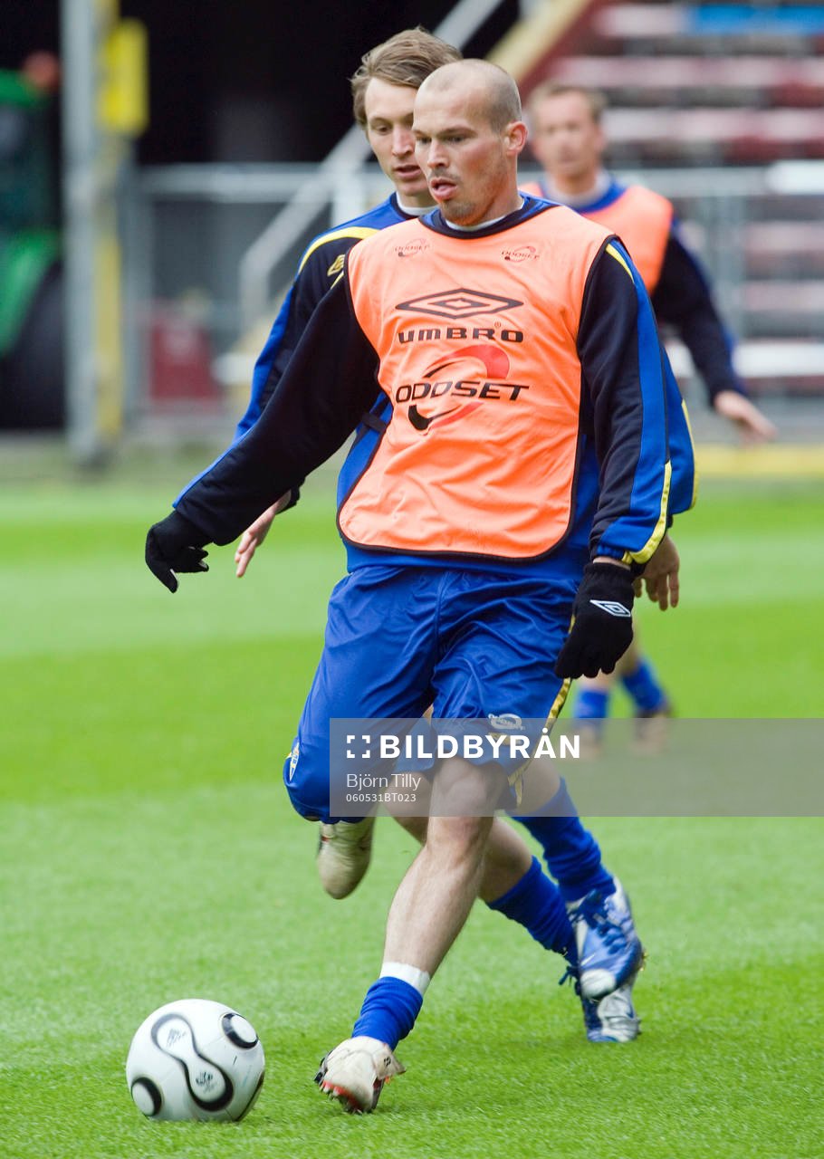 Fredrik Ljungberg, Sverige skadefri