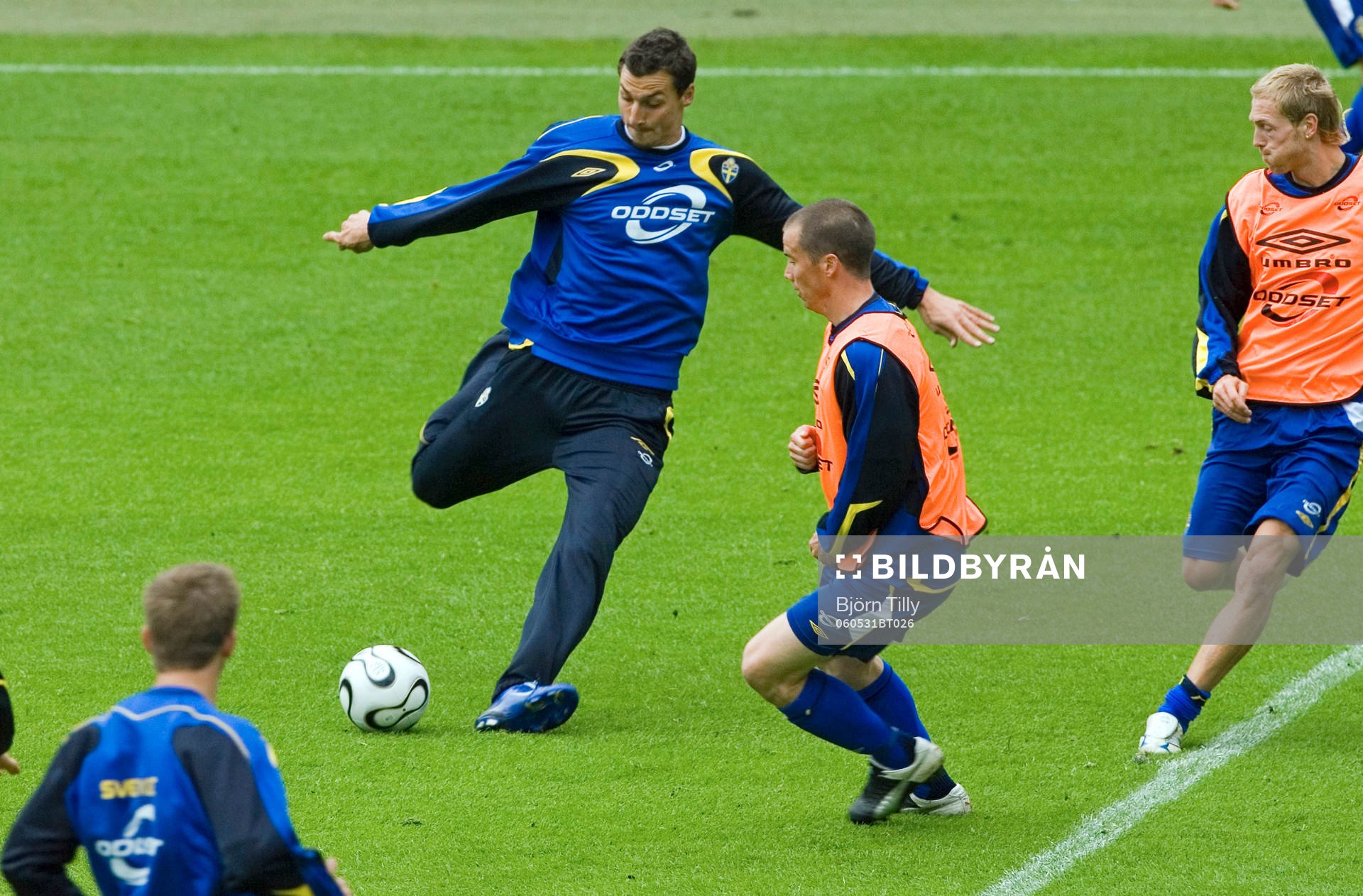 Zlatan Ibrahimovic, Sverige