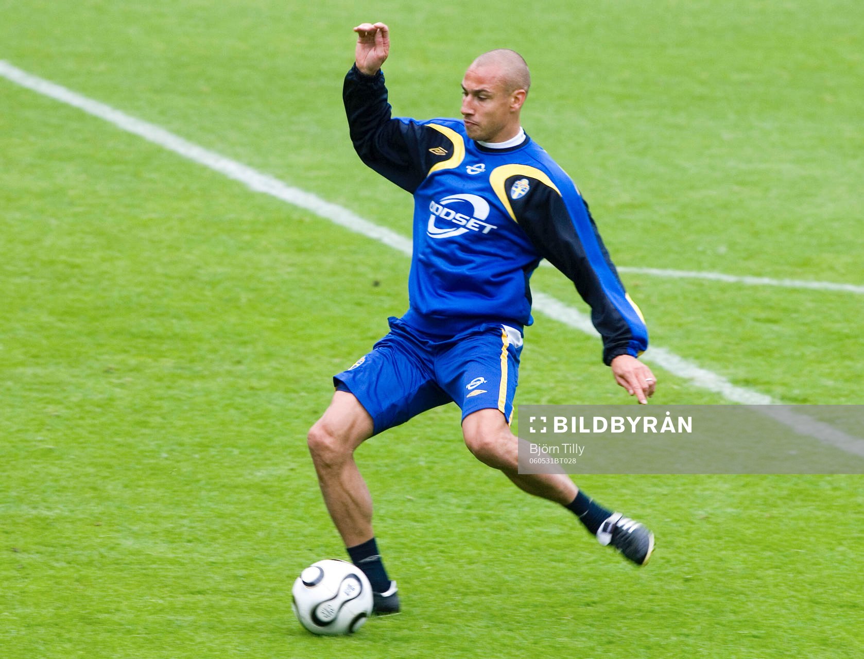 Henrik Larsson, Sverige