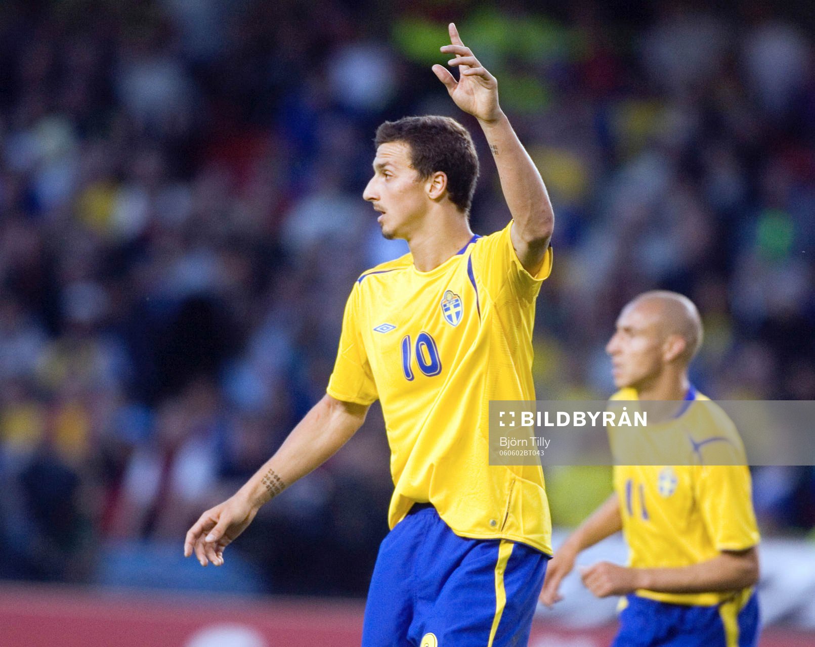 Zlatan Ibrahimovic, Sverige