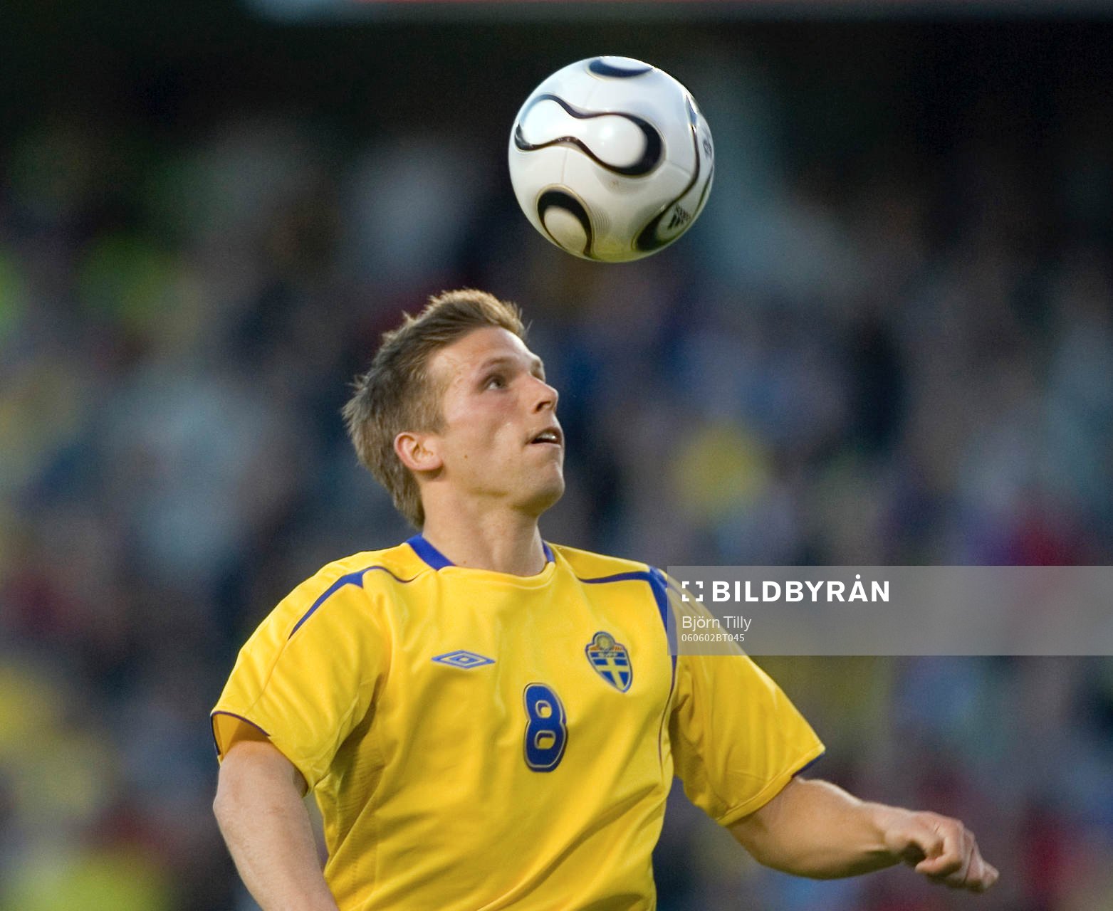 Anders Svensson, Sverige