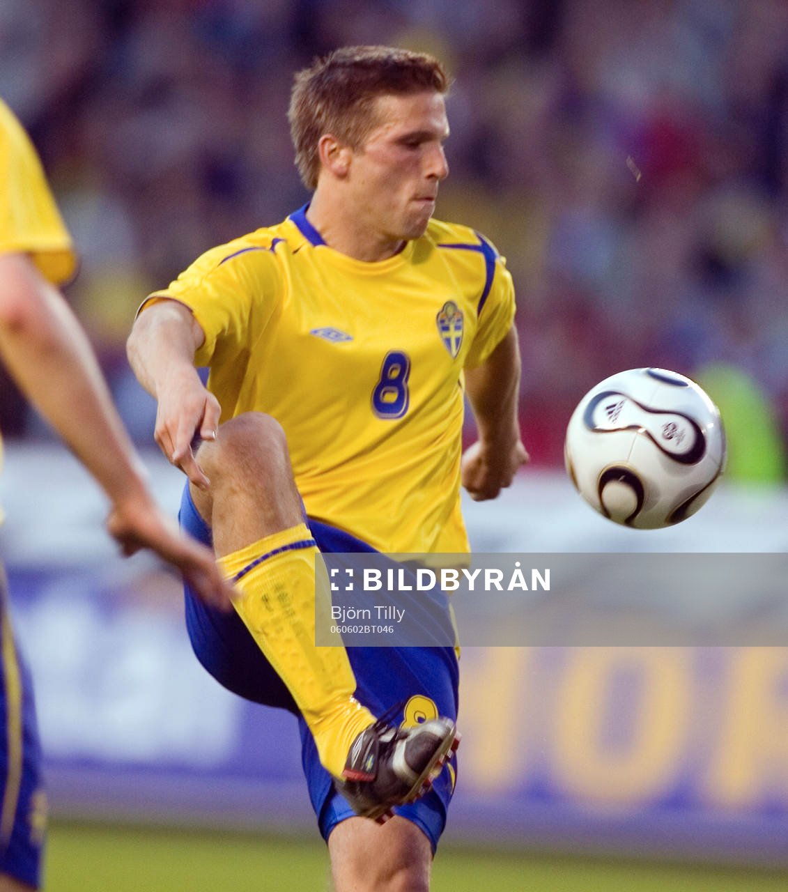 Anders Svensson, Sverige
