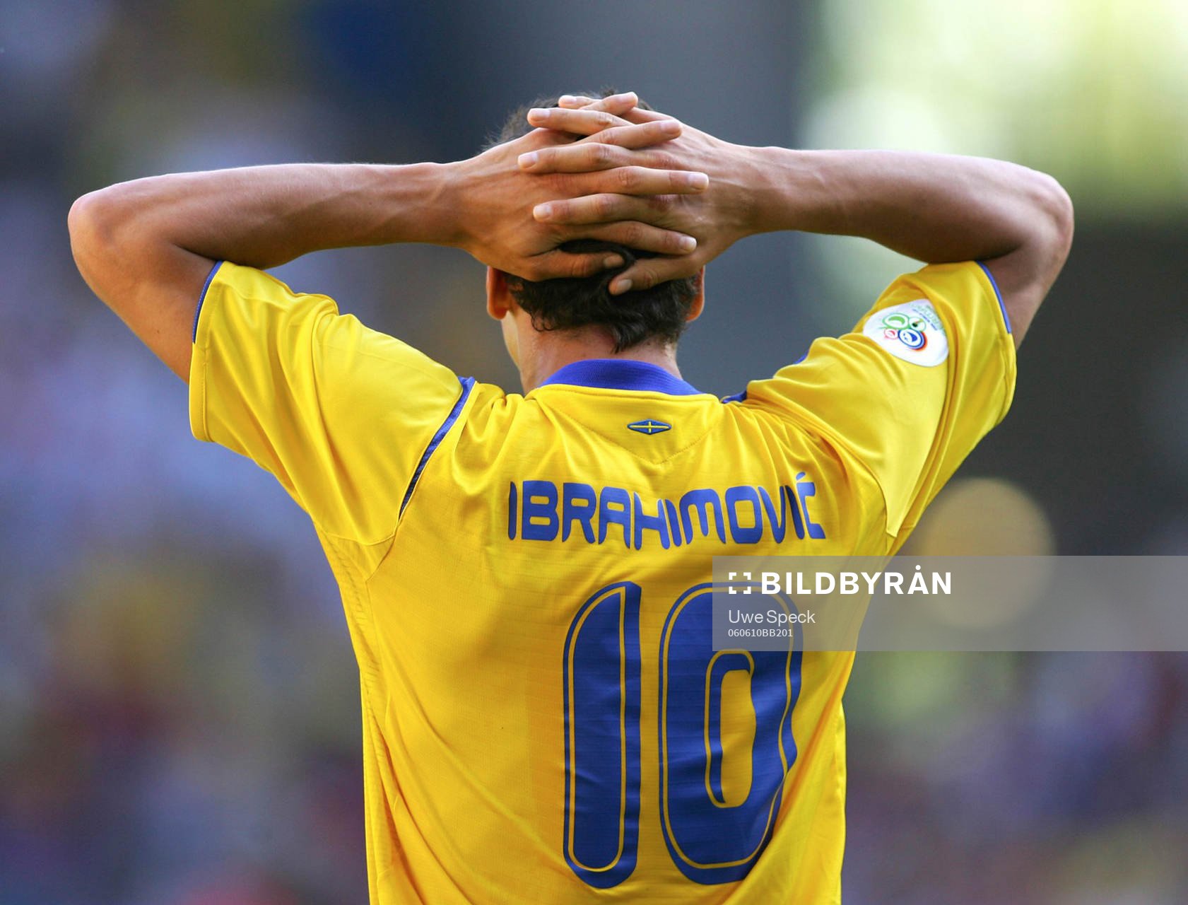 Zlatan Ibrahimovic, Sverige