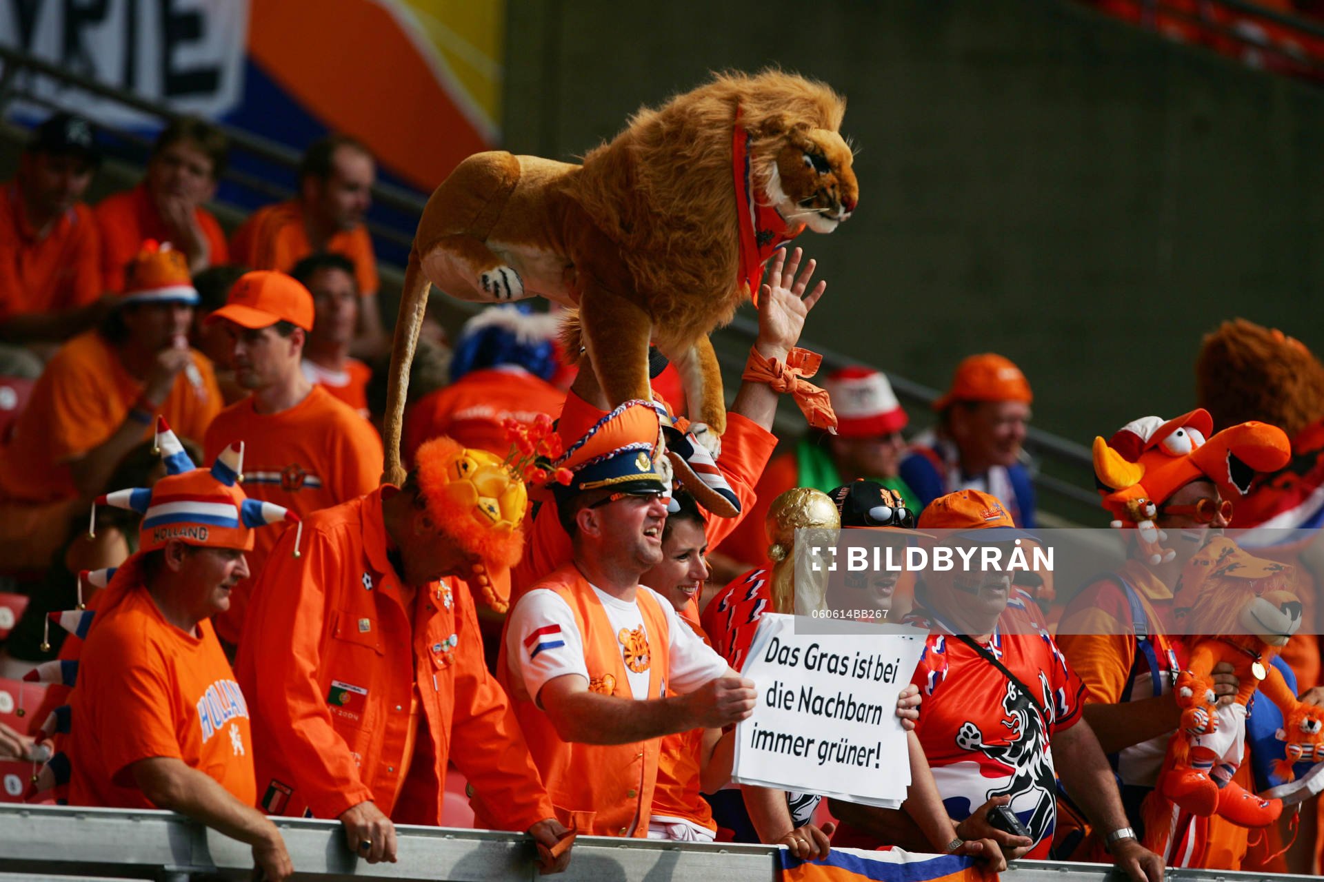 Holland, fans, supporter