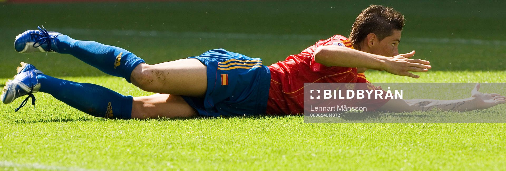 Fernando Torres