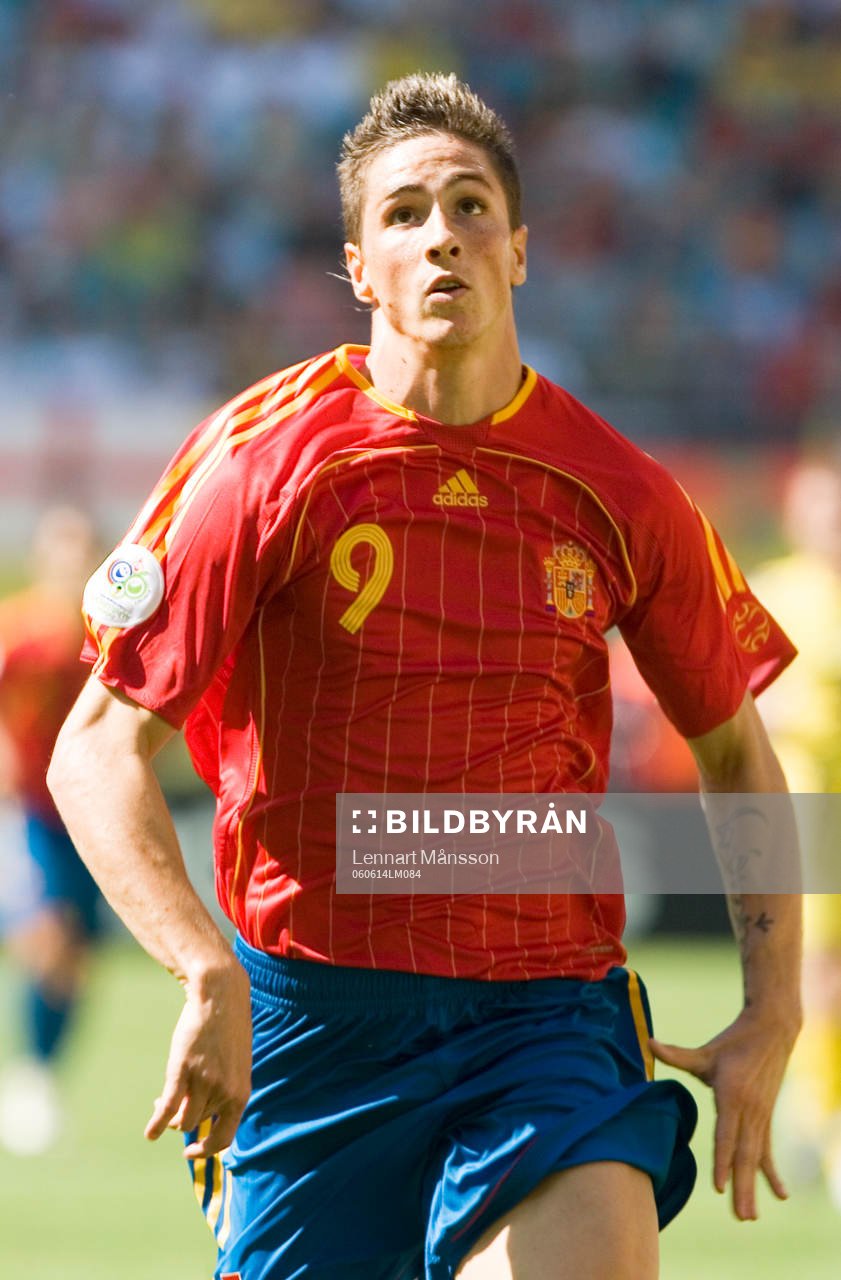 Fernando Torres