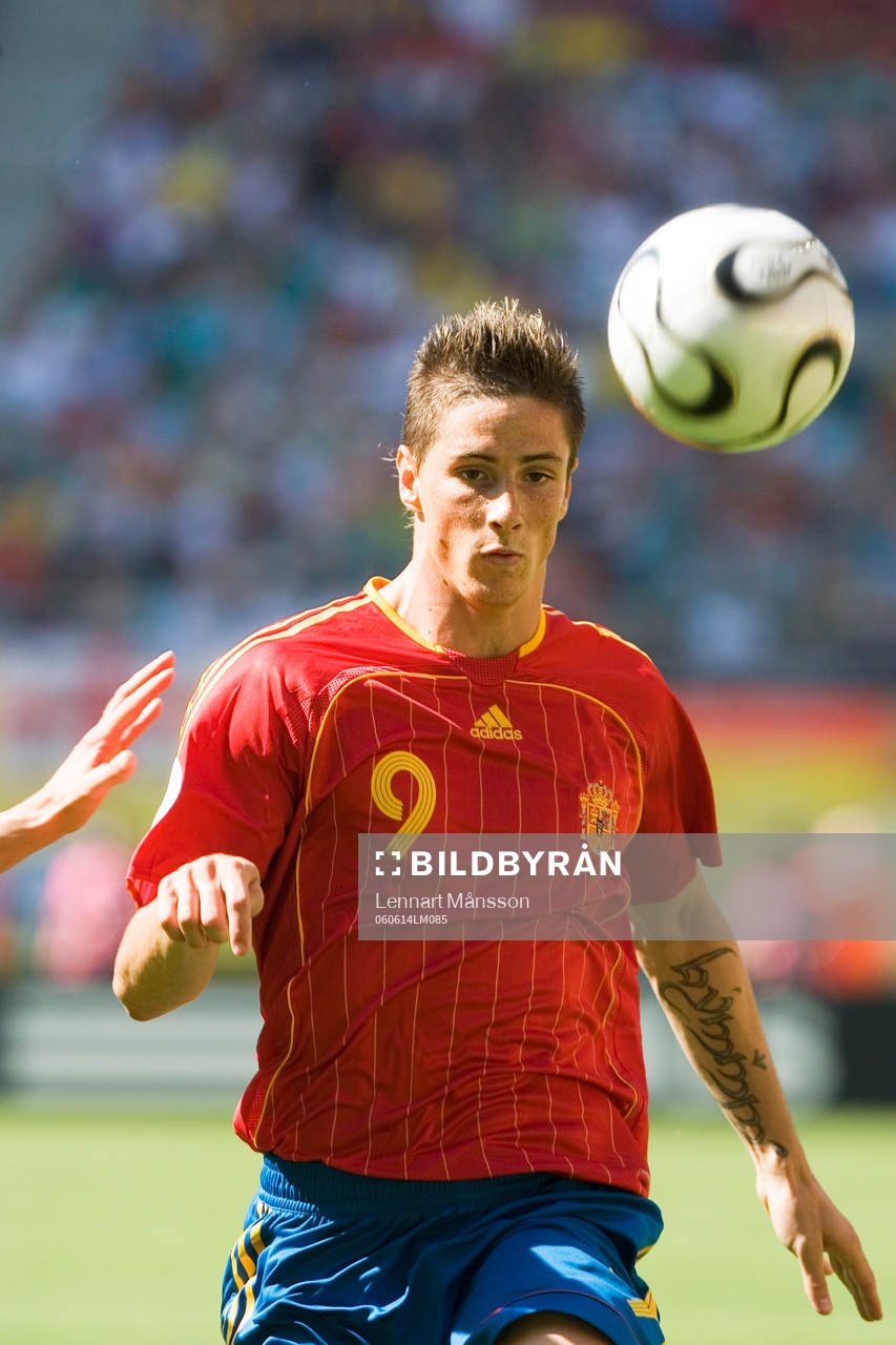Fernando Torres