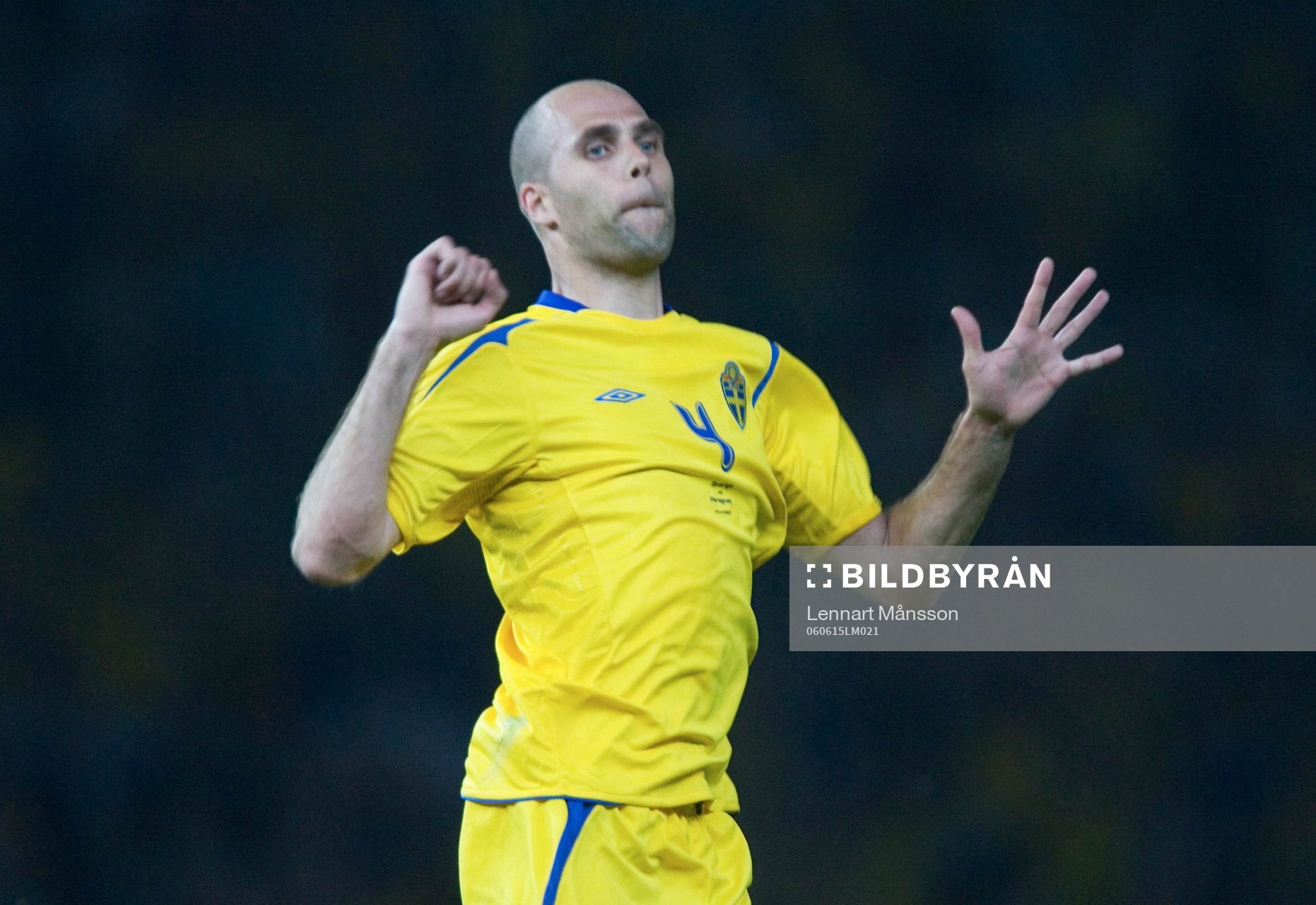 Teddy Lucic, Sverige