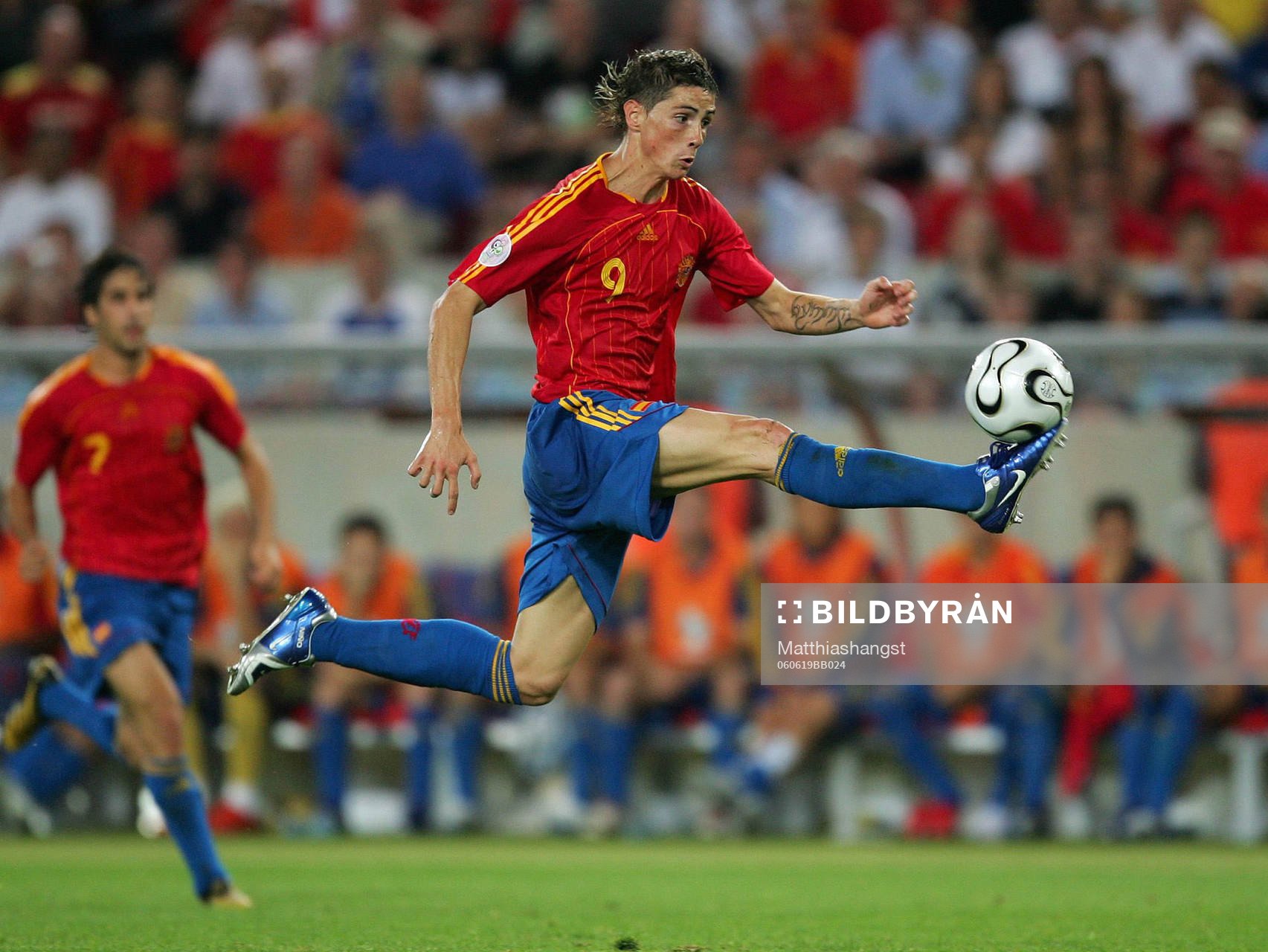 Fernando Torres, Spanien