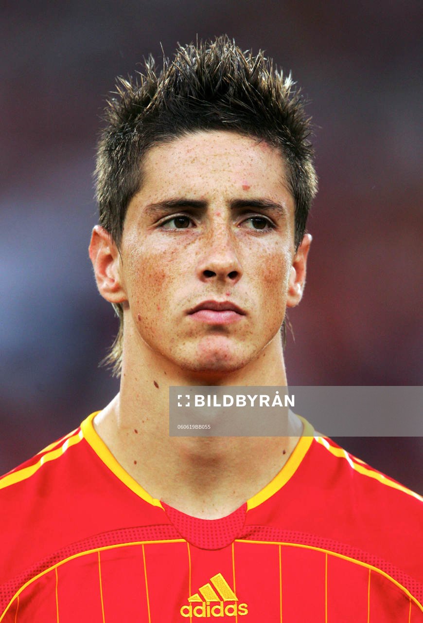 Fernando Torres, Spanien, porträtt