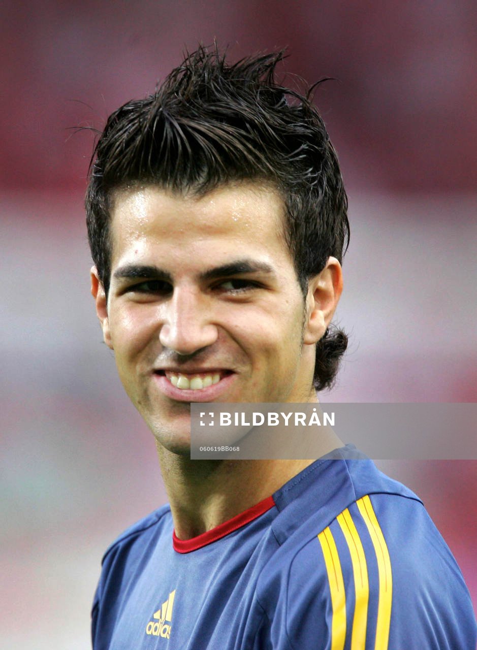 Cesc Fabregas, Spanien, porträtt