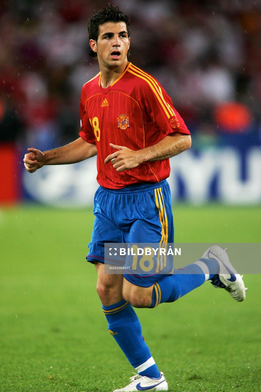 Cesc Fabregas, Spanien