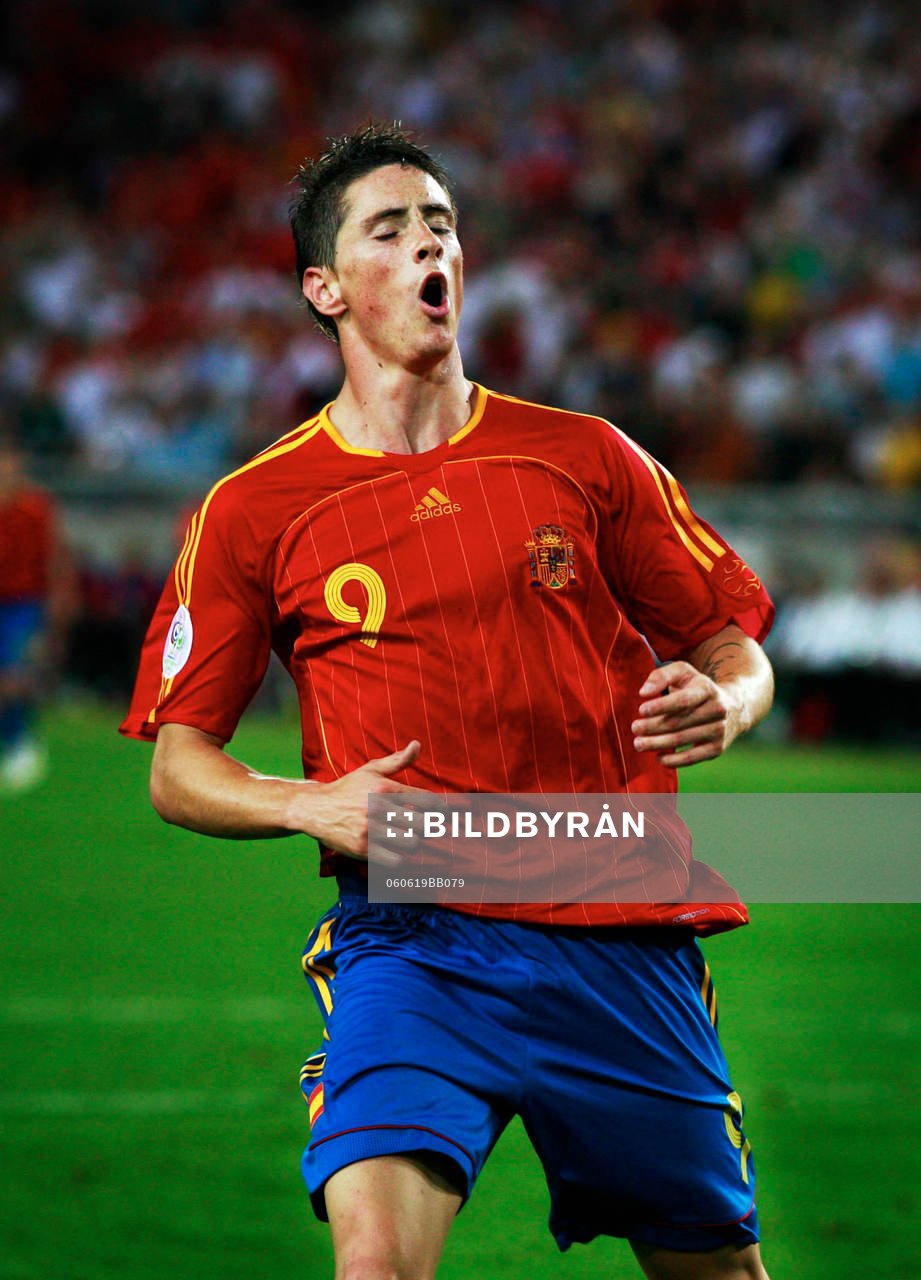 Fernando Torres, Spanien